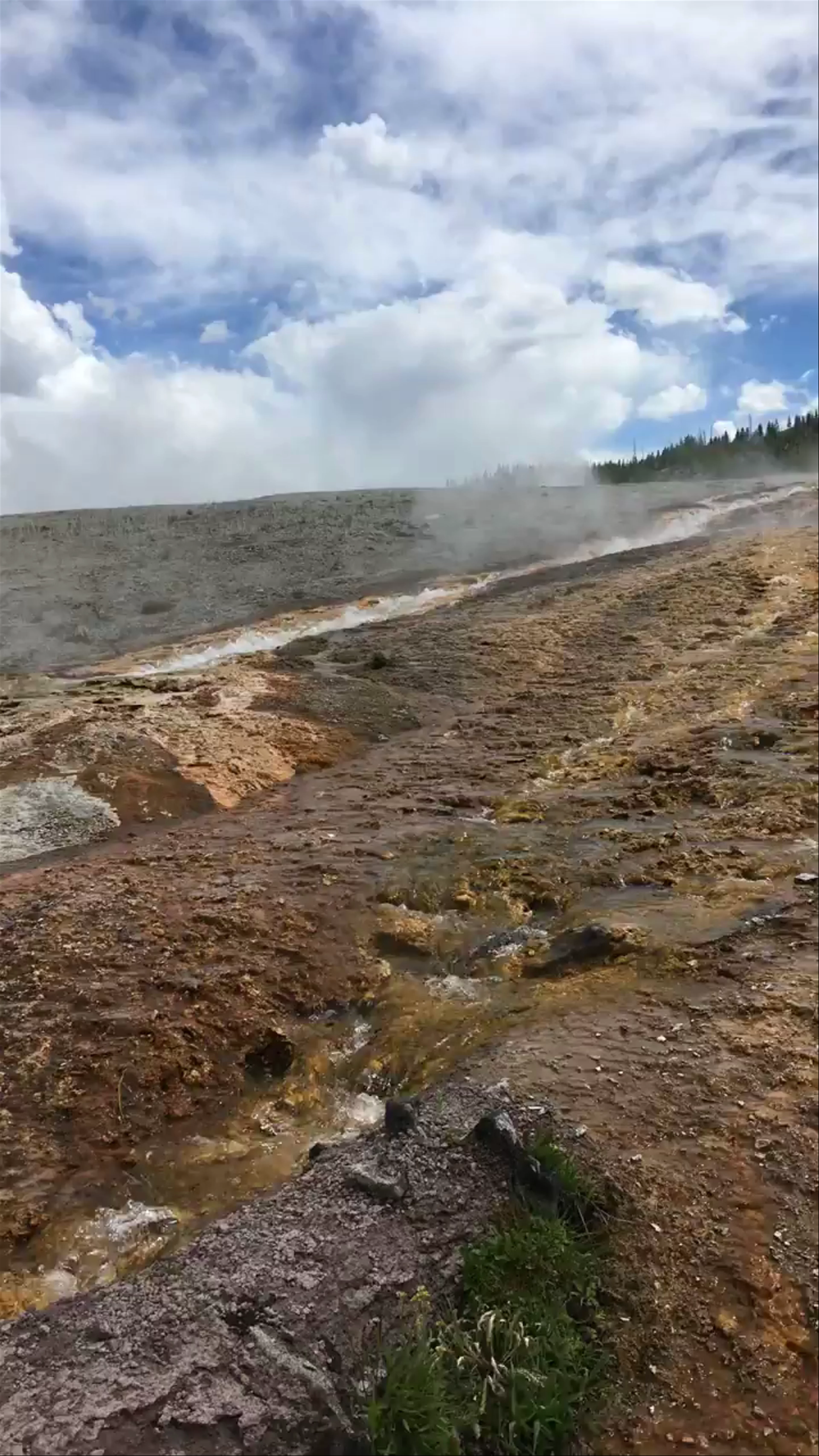 Yellowstone National Park, WY, USA