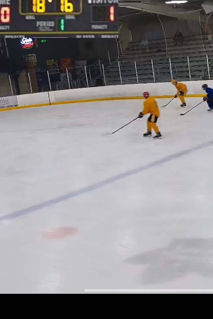 Goal at Midam Hockey Camp