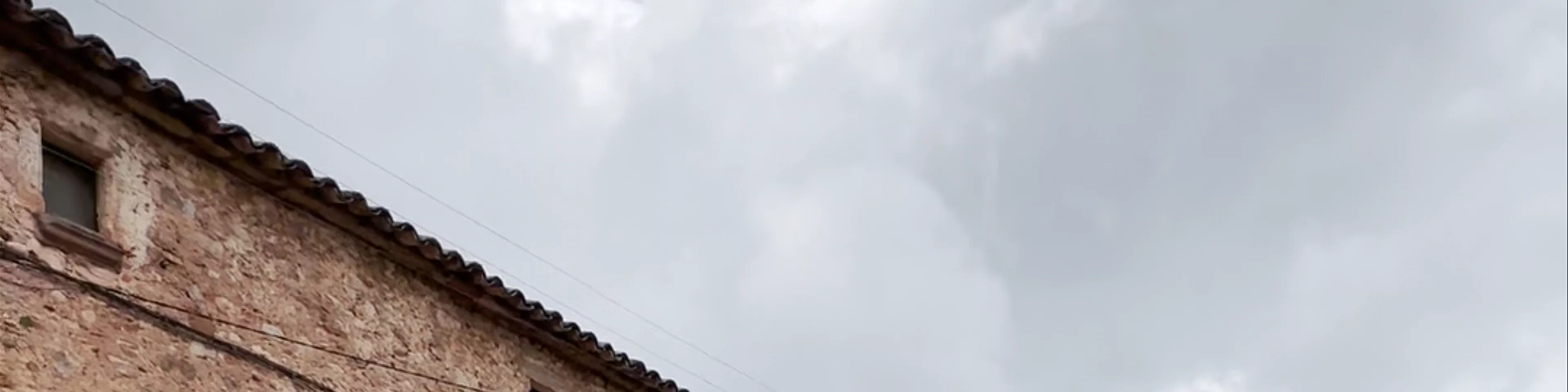 Mura