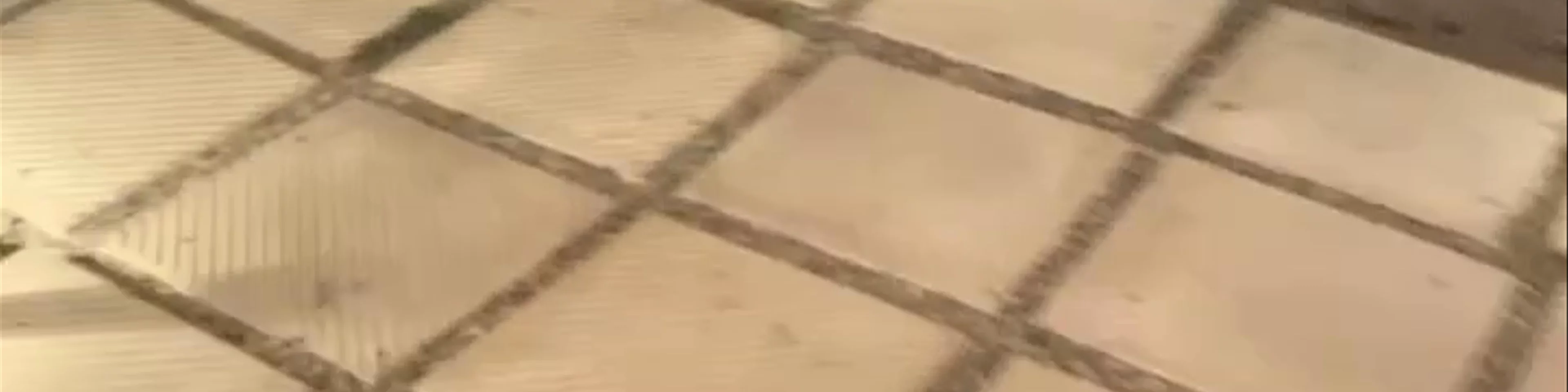 kalokeri apallou
