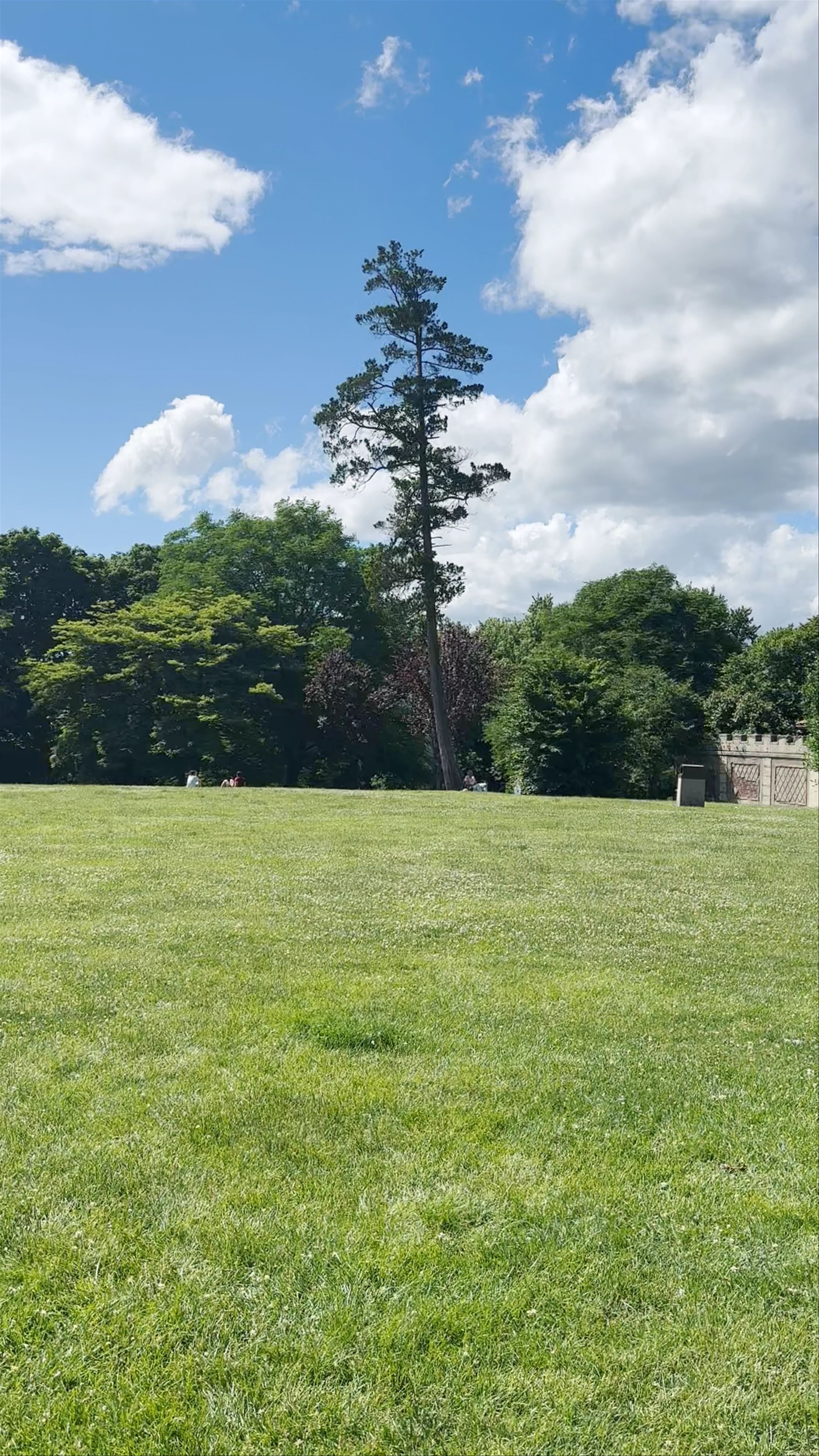 Gardens for Charlestown