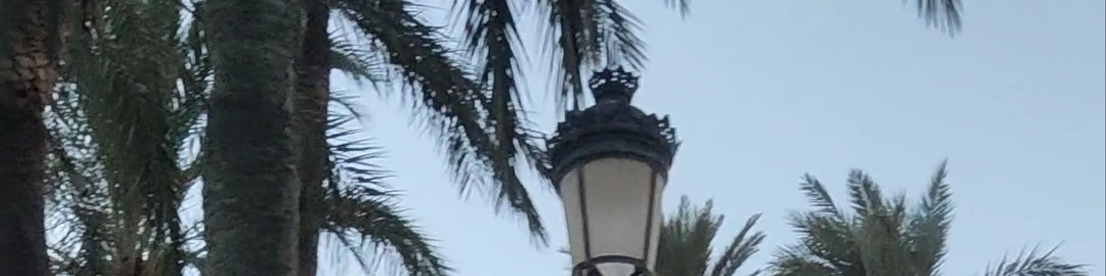 Ayuntamiento de Vejer de la Frontera