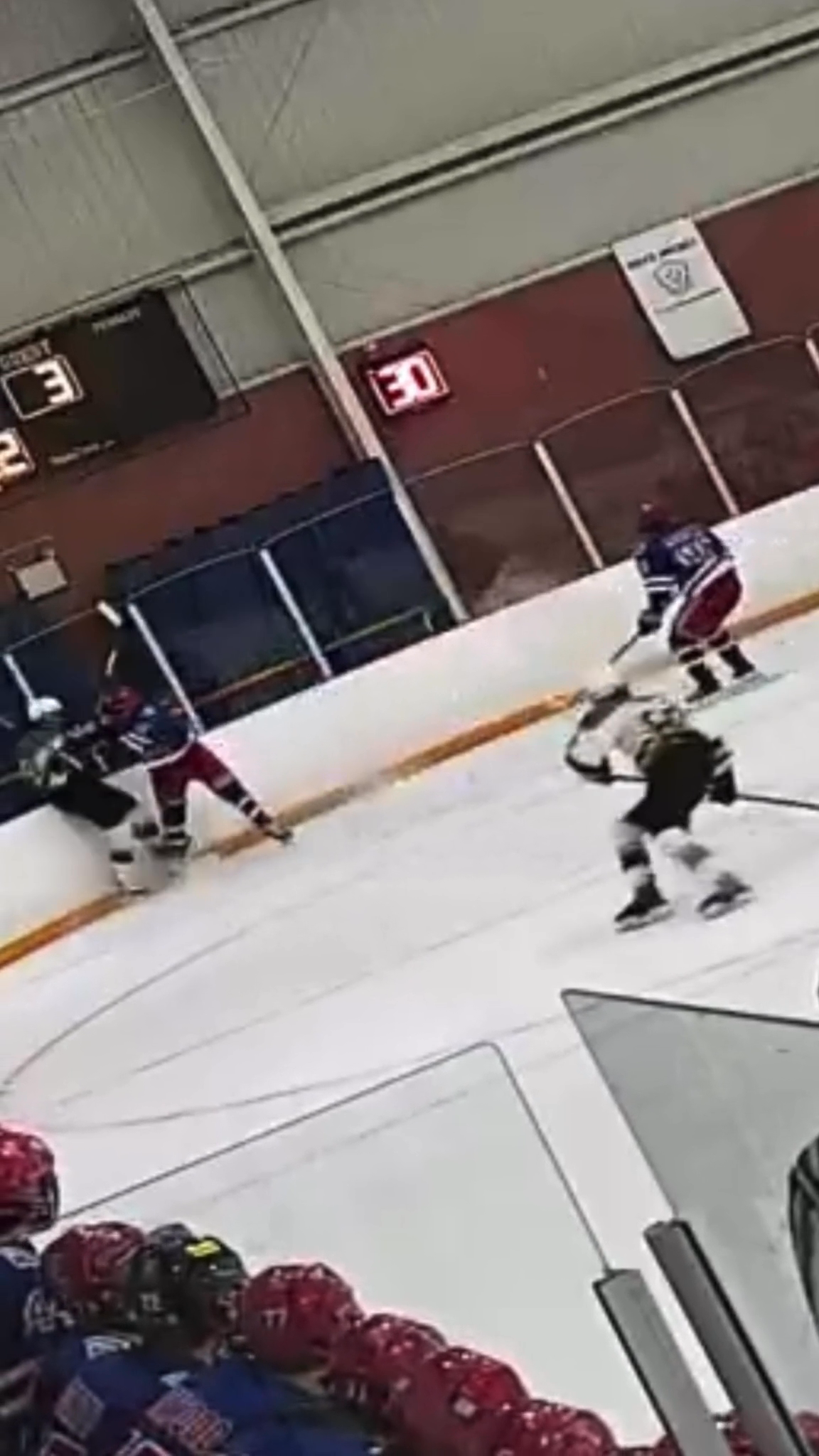 Colton Wallace: Dominating Highlights from Kitchener Jr. Rangers' Streak