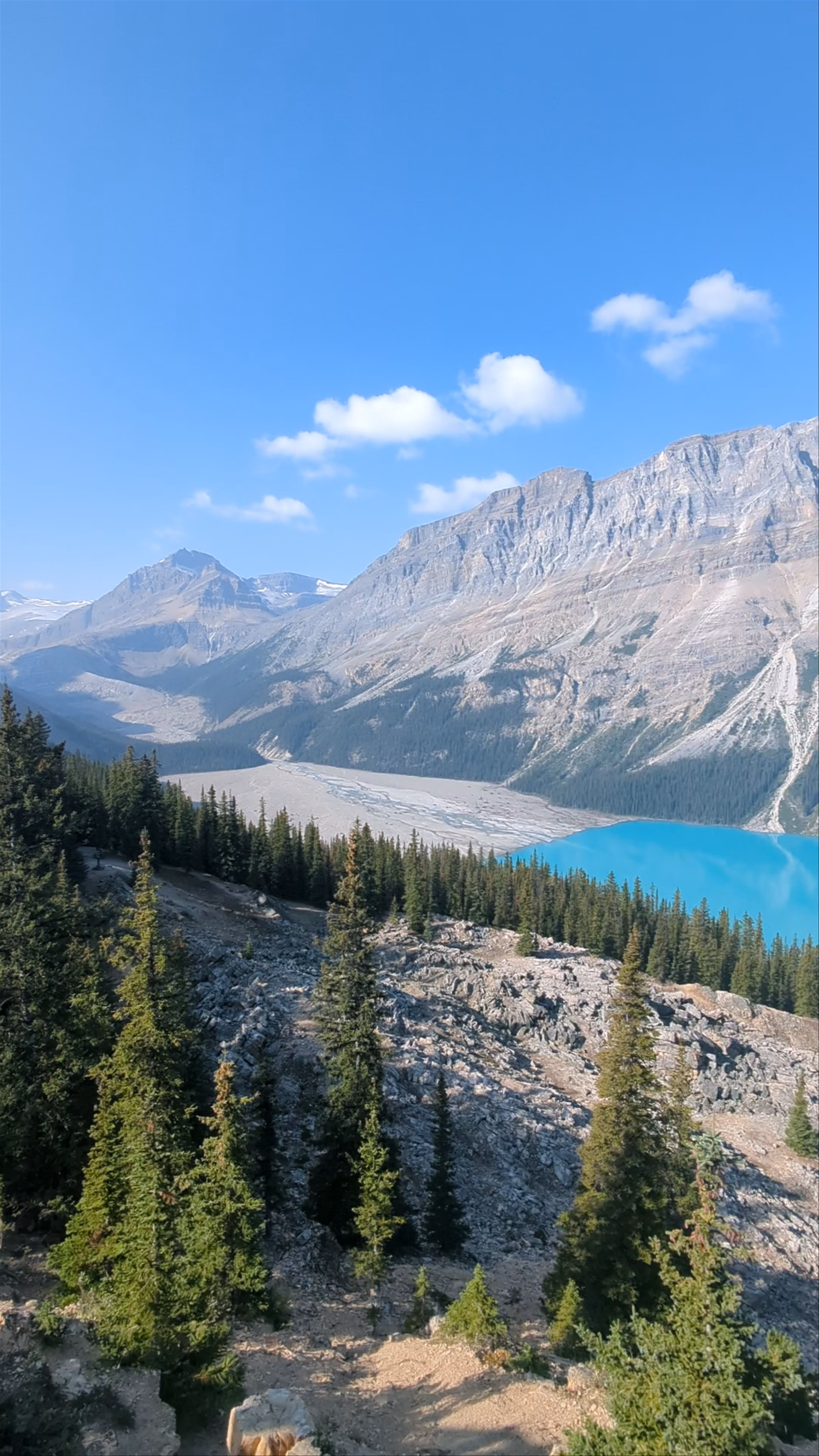 Peyto Lake: Majestic Turquoise Waters and Rocky Mountain Vibes
