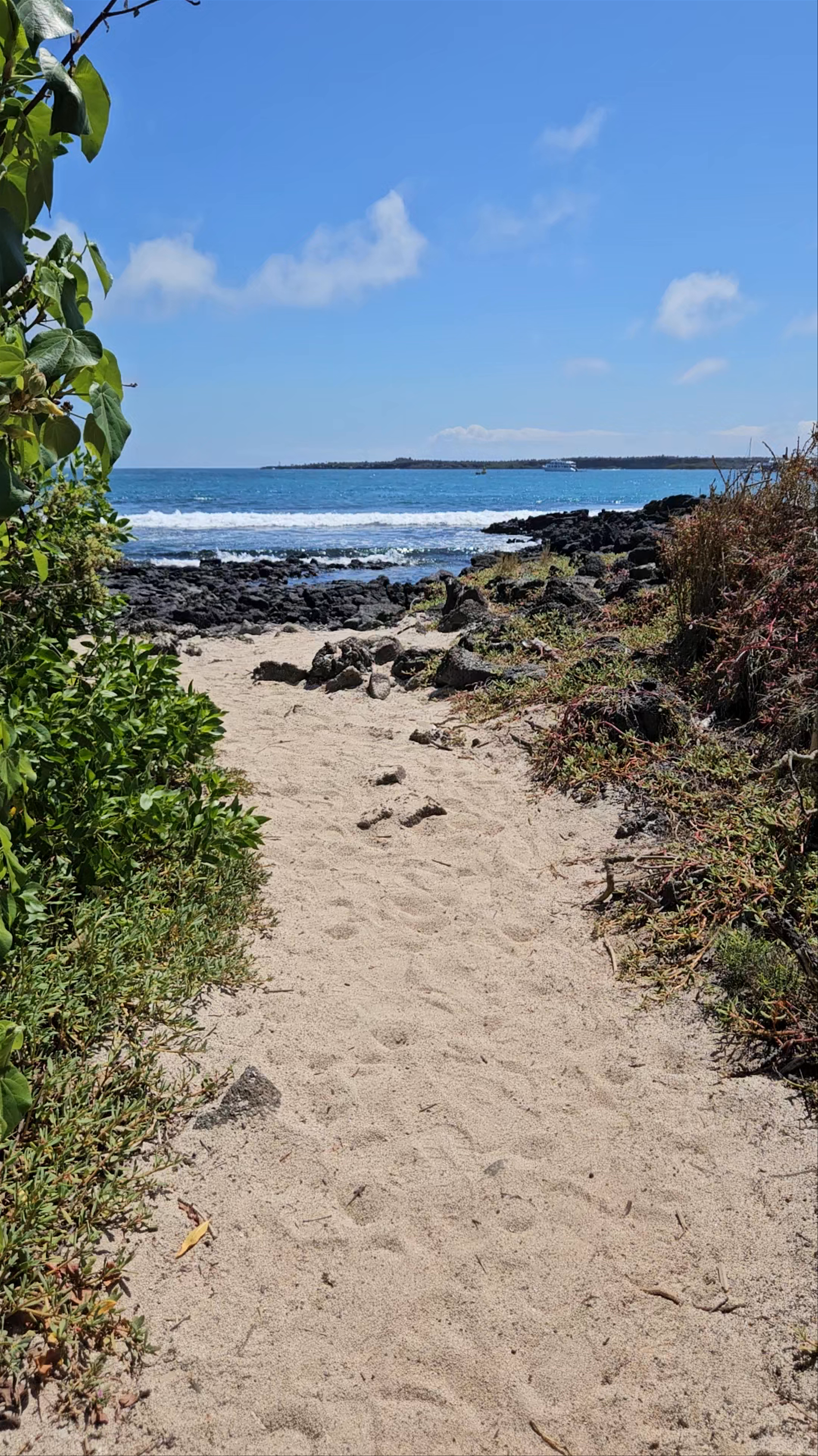 La Ratonera Beach Path, Puerto Ayora, Galápagos