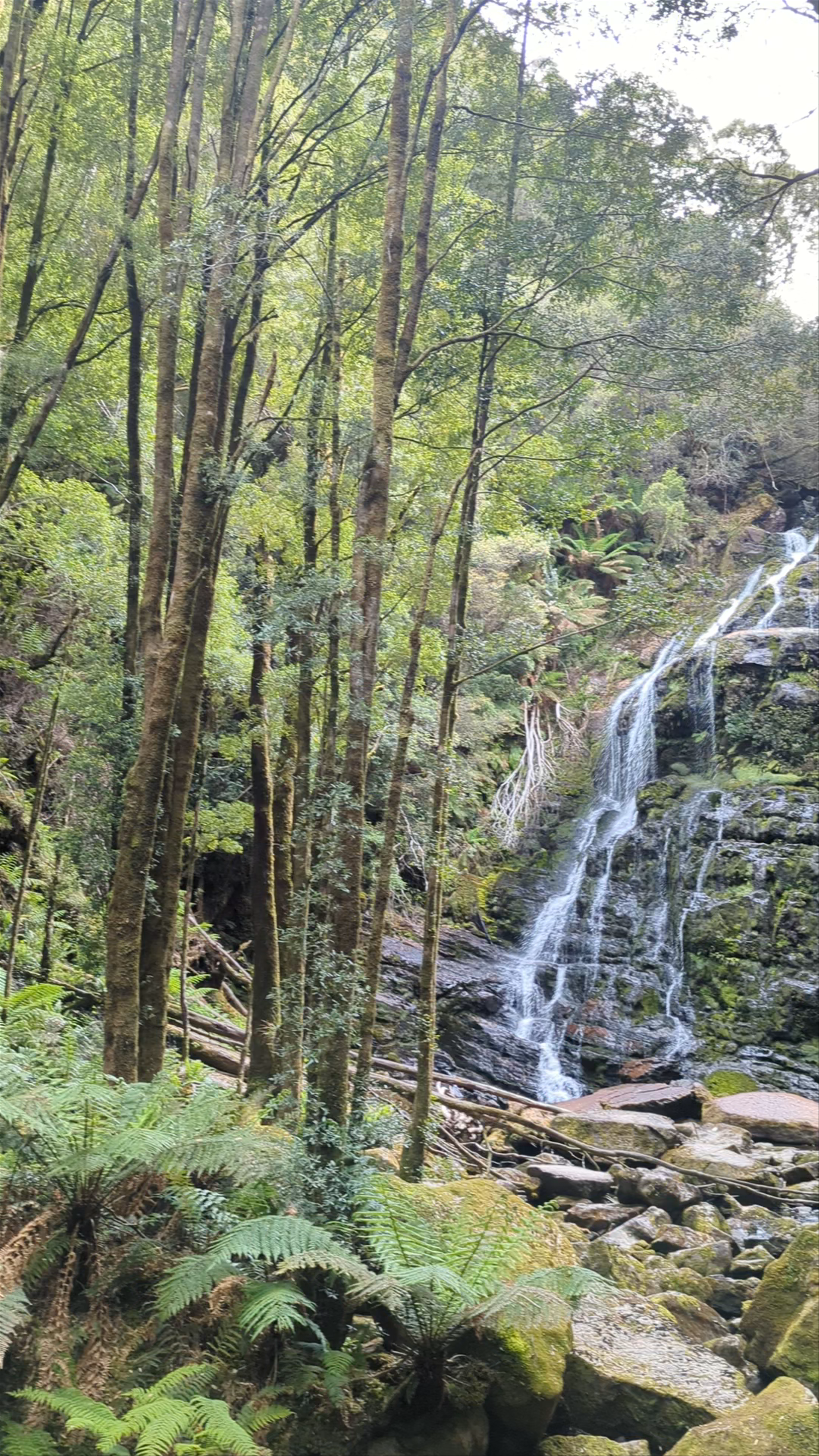 Nelson Falls