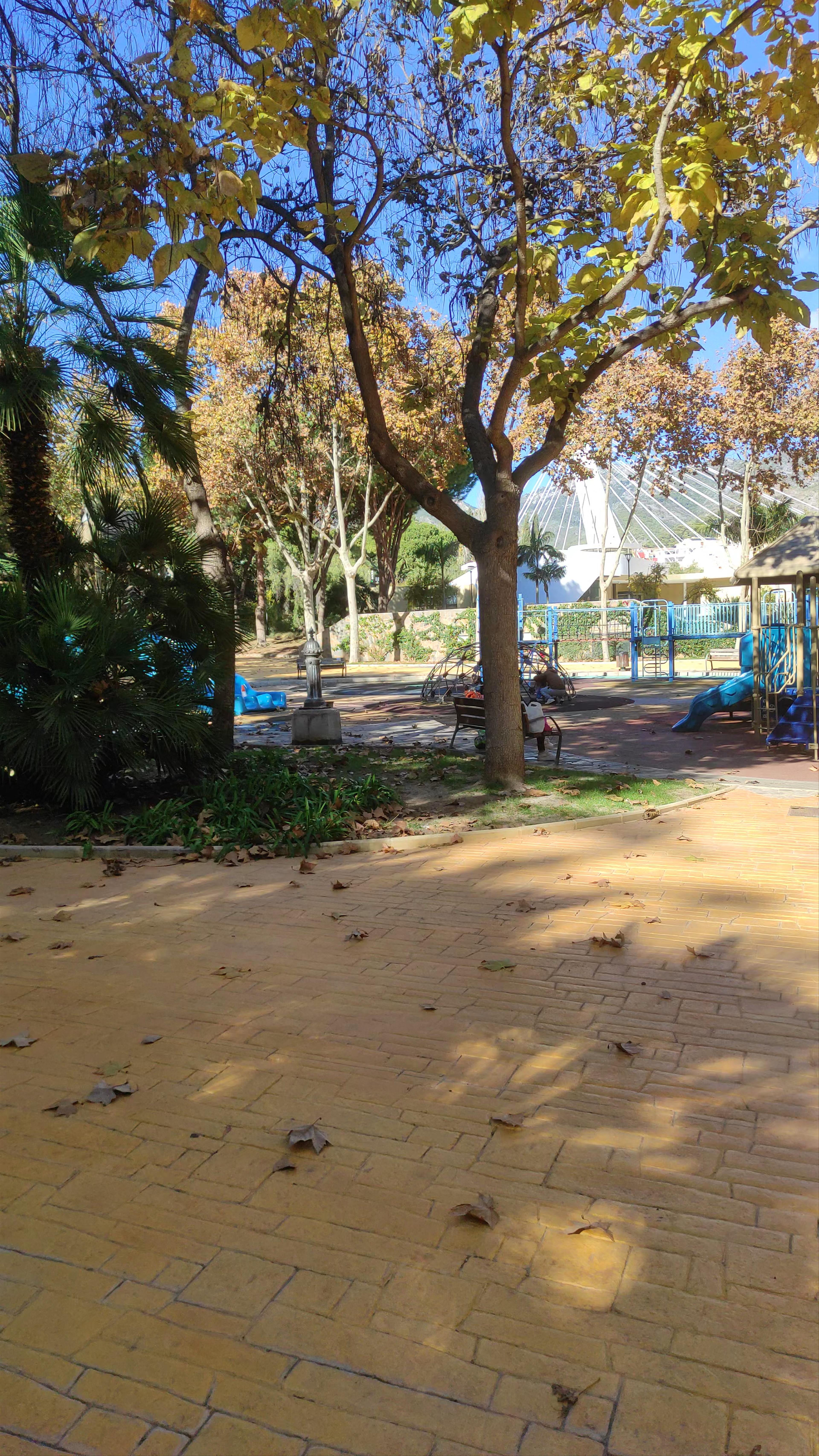 Sunlit Autumn Walk Through Parque de la Represa, Marbella