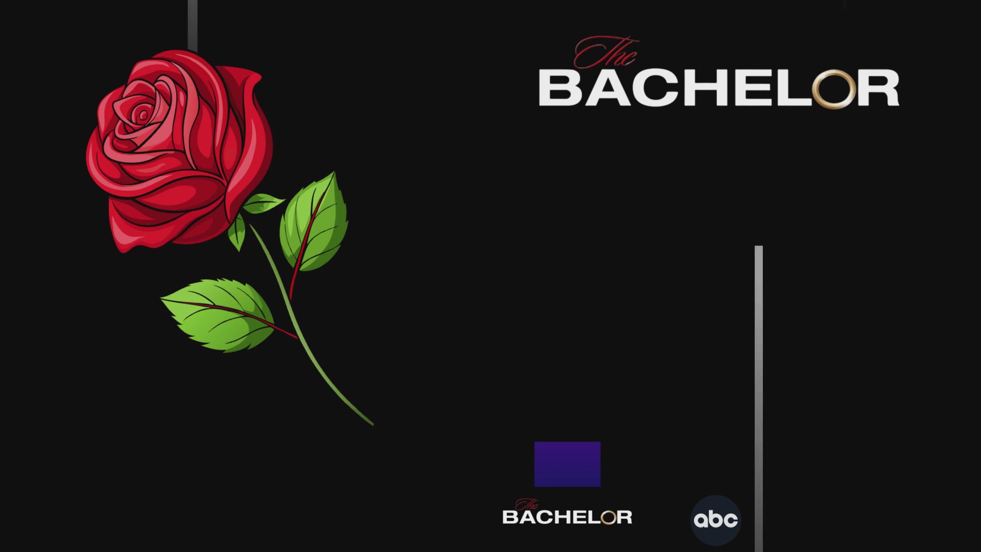 This presentation examines television viewership data, highlighting the demographic appeal of The Bachelor among younger audiences compared to other primetime programs. It utilizes statistical insights from industry research to contextualize the show's popularity and target audience reach.