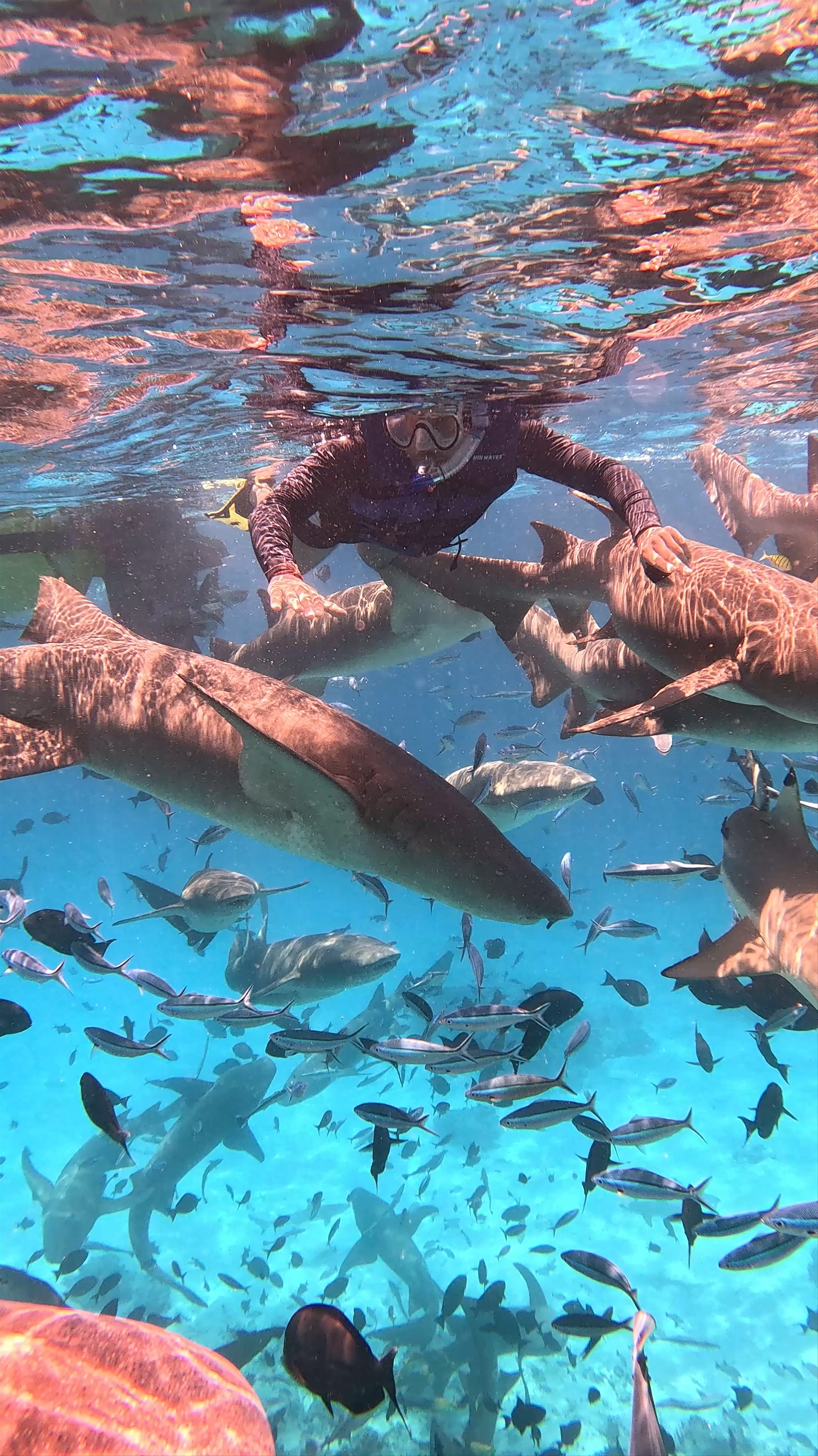 Triton Tours Maafushi