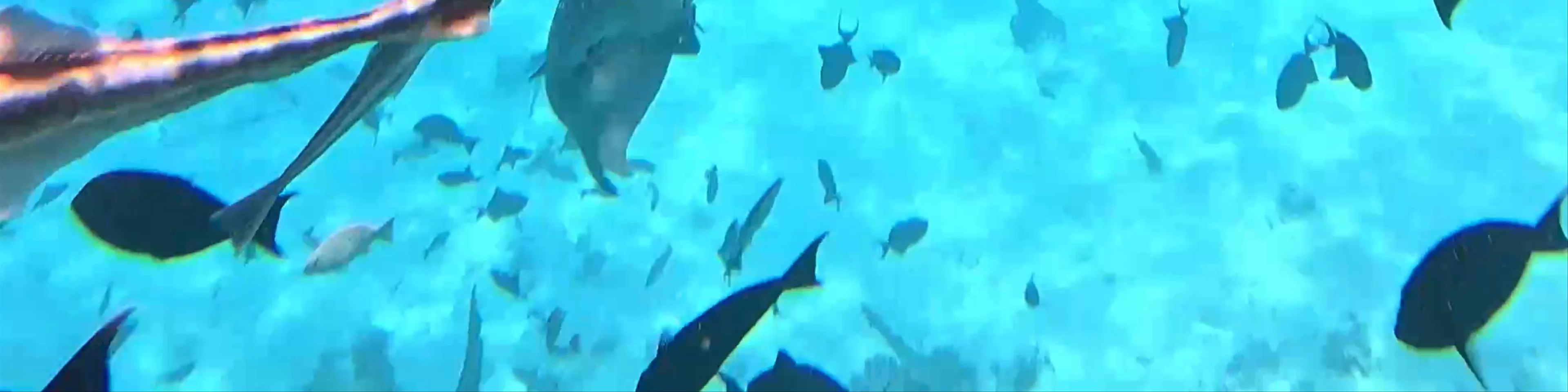 Triton Tours Maafushi