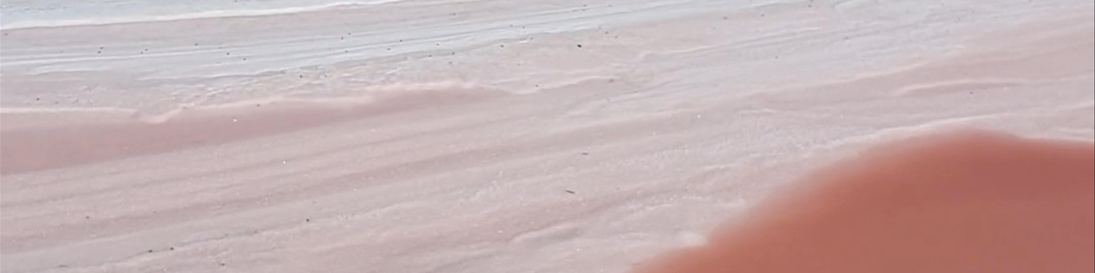 El Cuyo