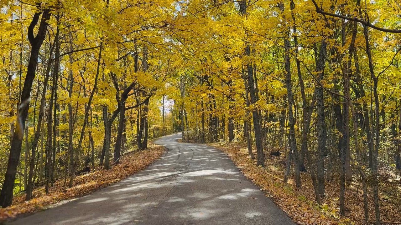 Brown County State Park - View - Hiking Near Me - Nashville, Indiana