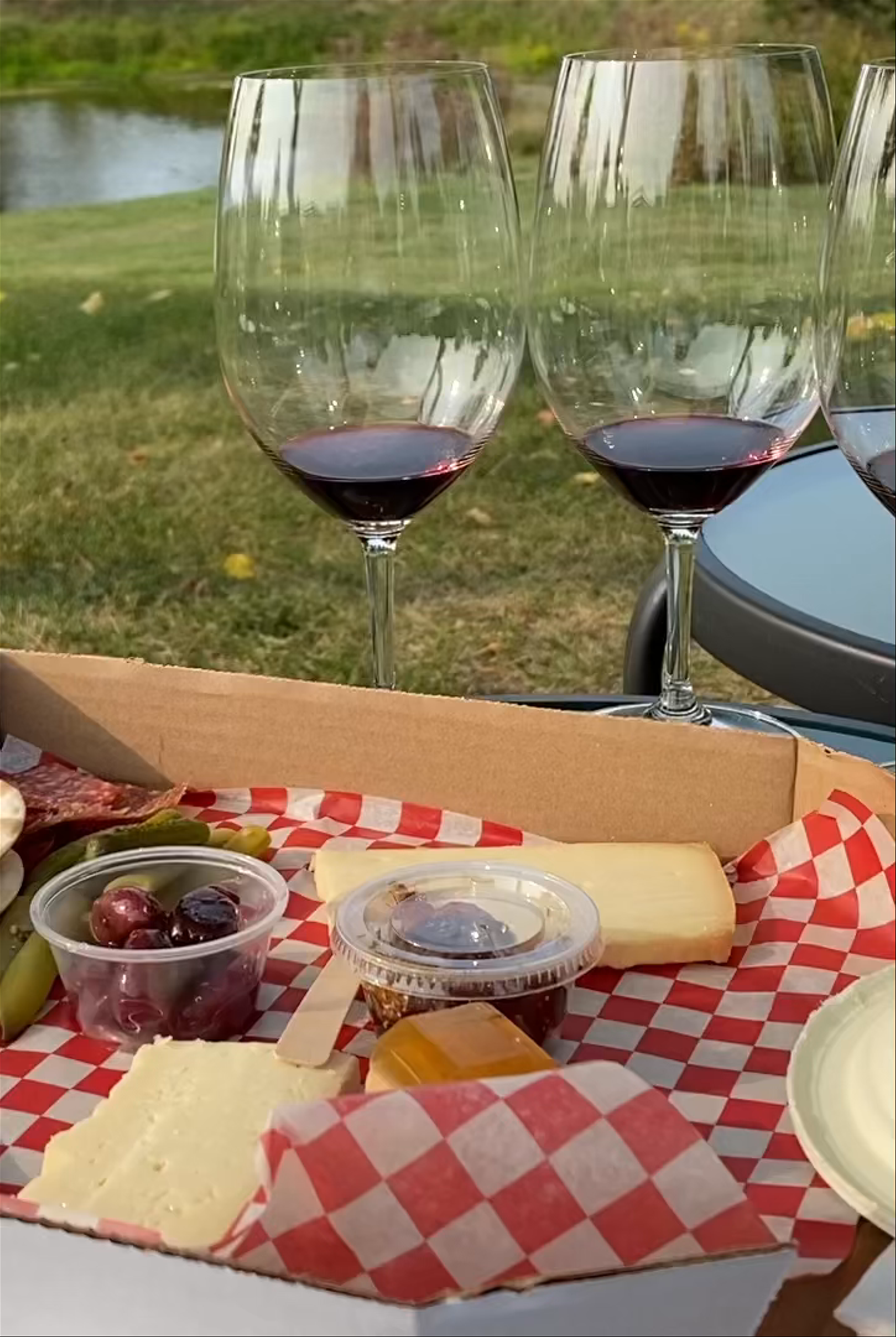 Wine and Cheese Picnic at Domaine Queylus, Saint Anns Ontario