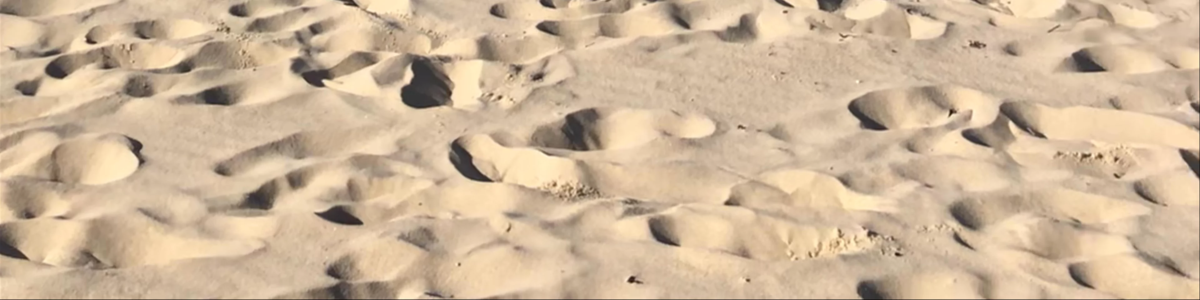 Birdie Beach