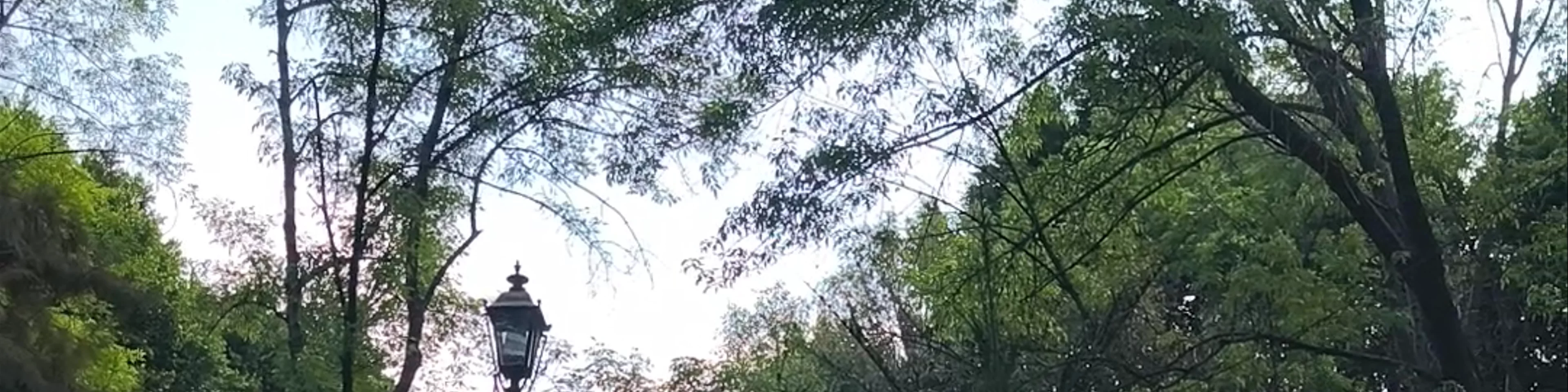 Jardín Centenario