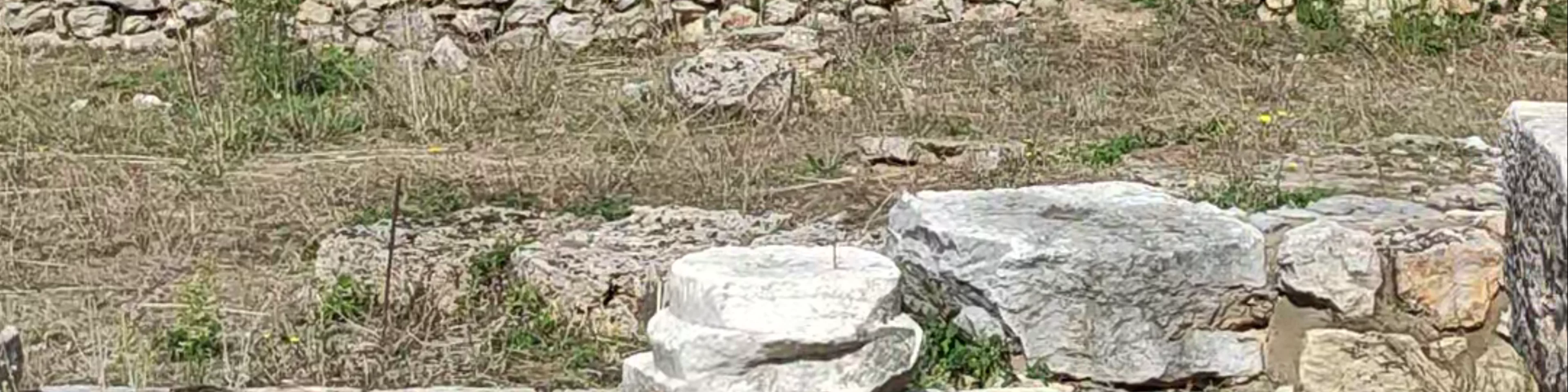 Plaoshnik