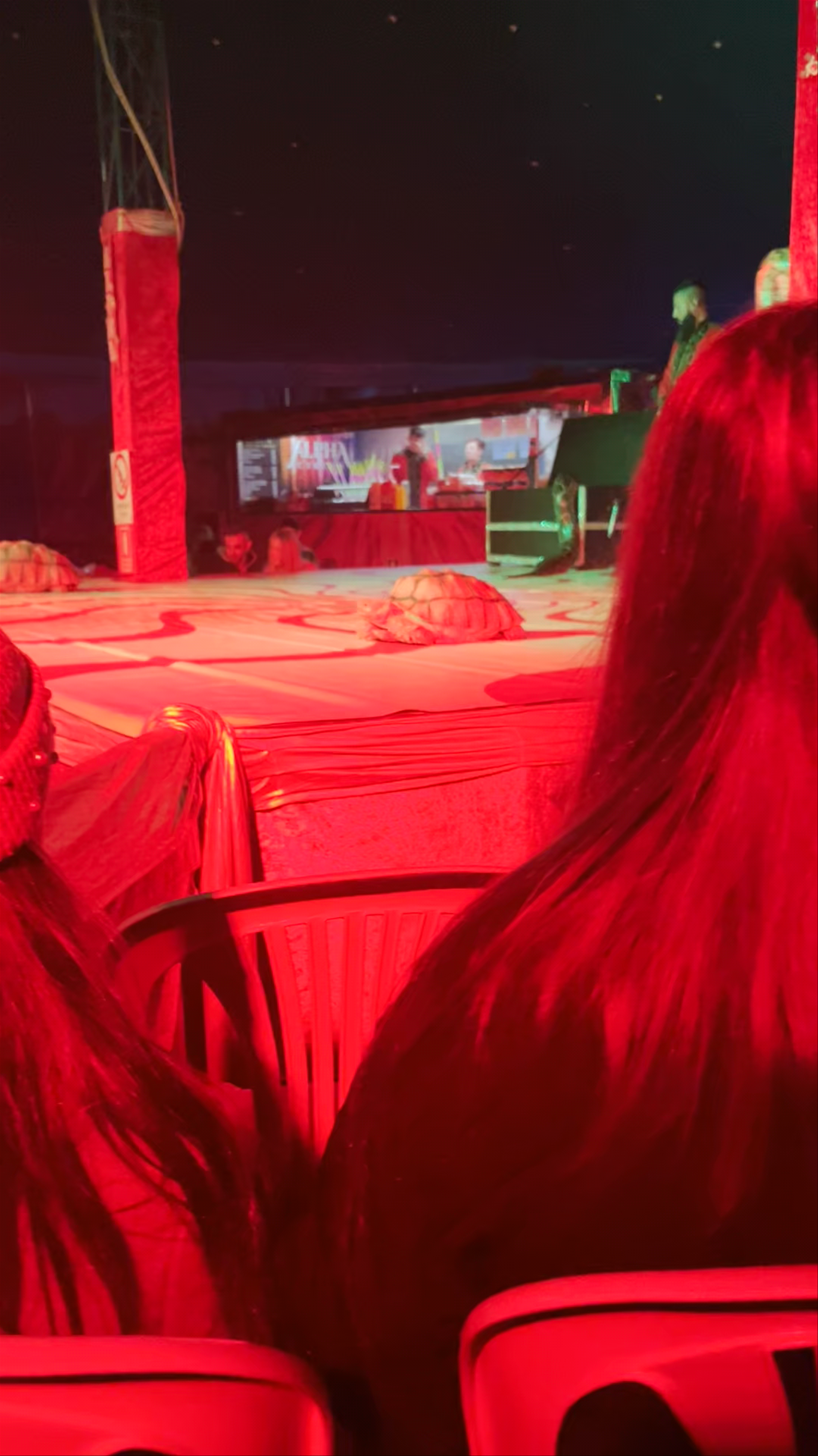 El Circo de la Navidad (Alpha Circus)