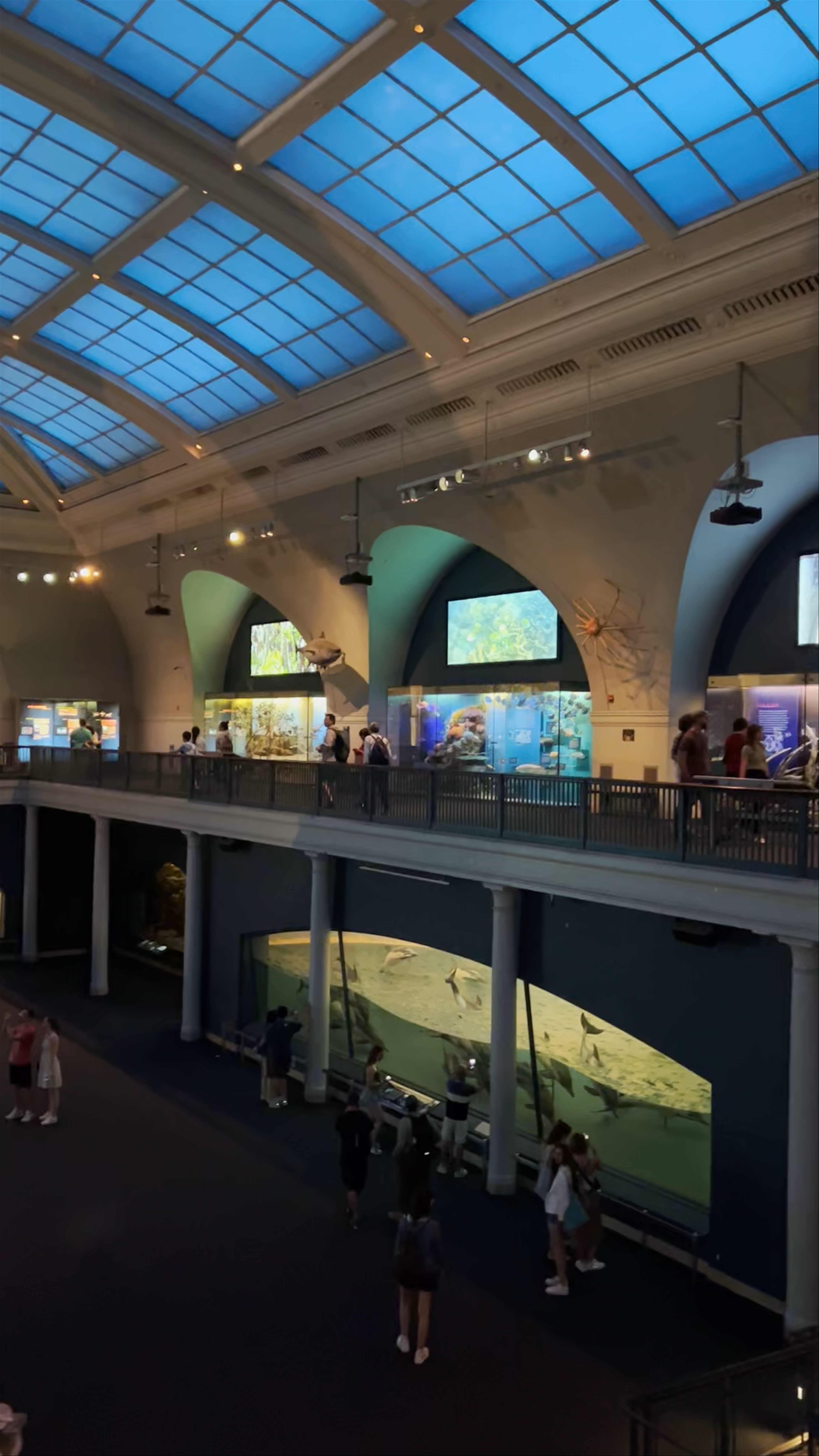 American Museum of Natural History