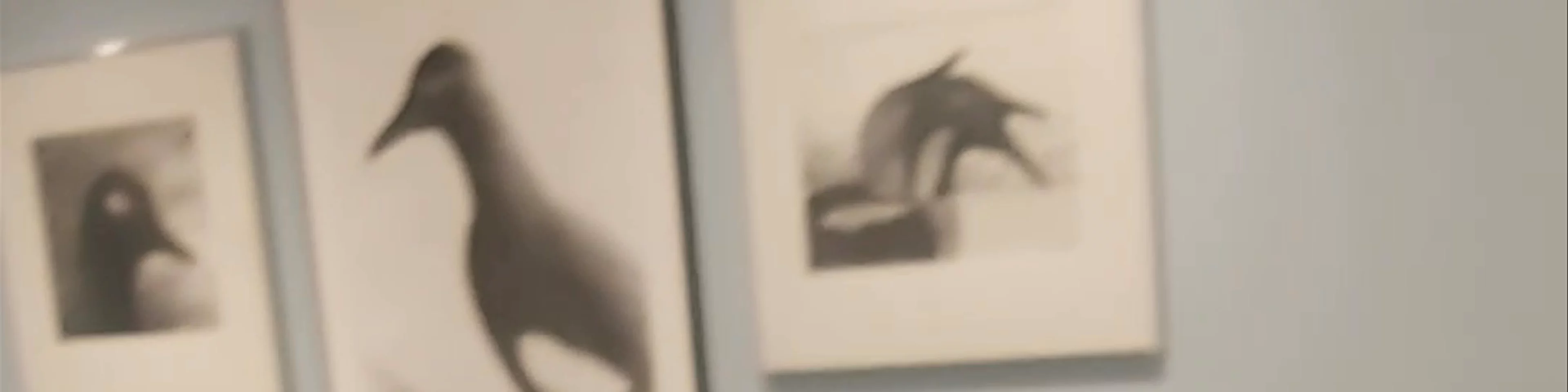 Northern Norwegian Art Museum