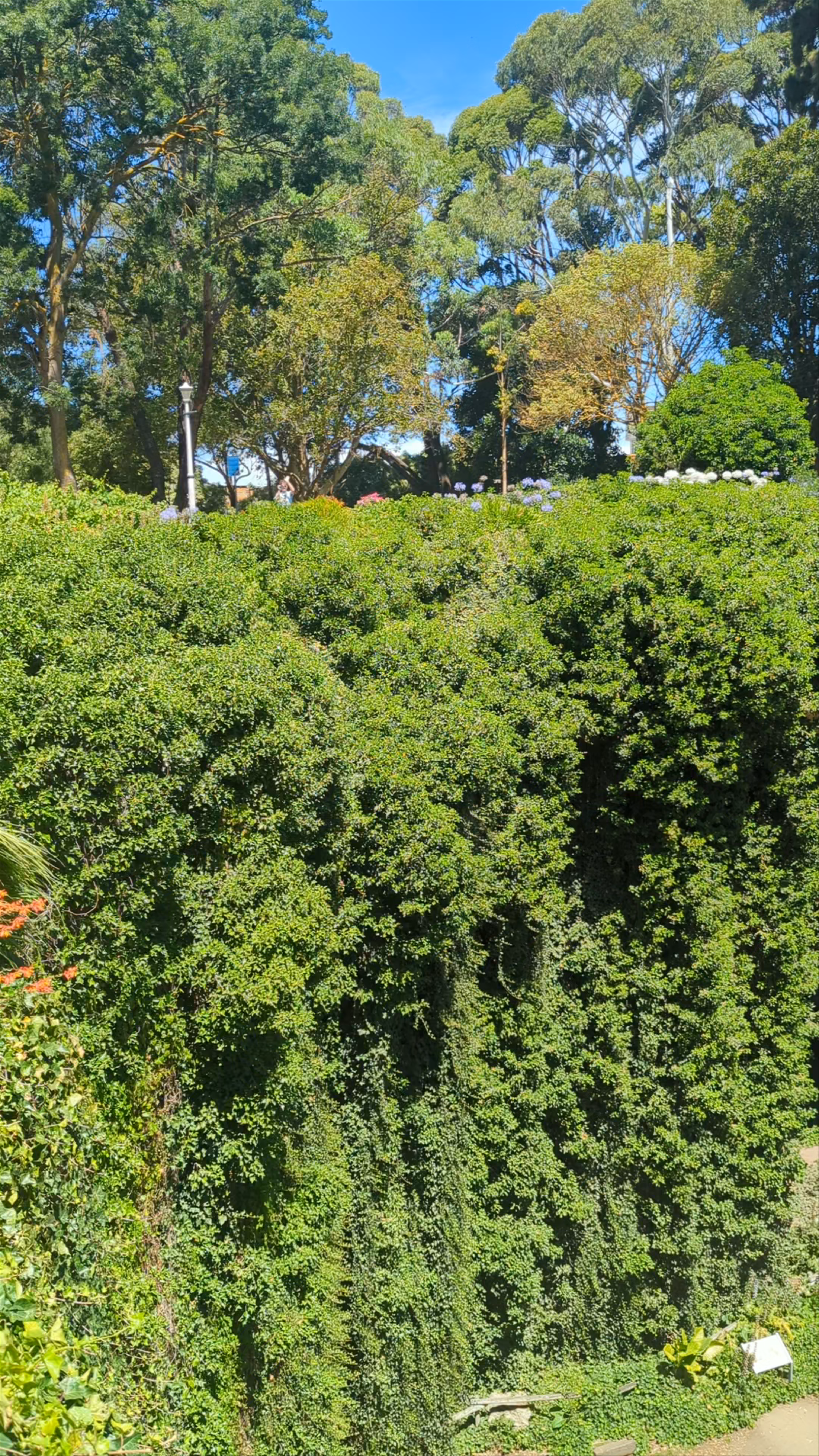 Umpherston Sinkhole / Balumbul