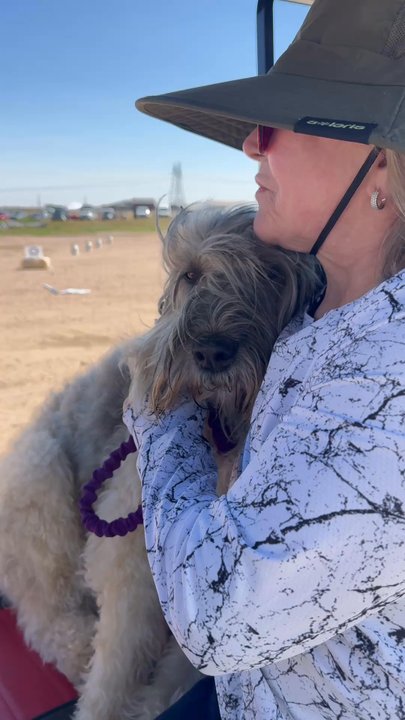 Tail Waggers and Wash - Cessna at the Bouvier Des Flandres Nationals in Cheyenne - Pet Groomers Near Me - Cheyenne, Wyoming