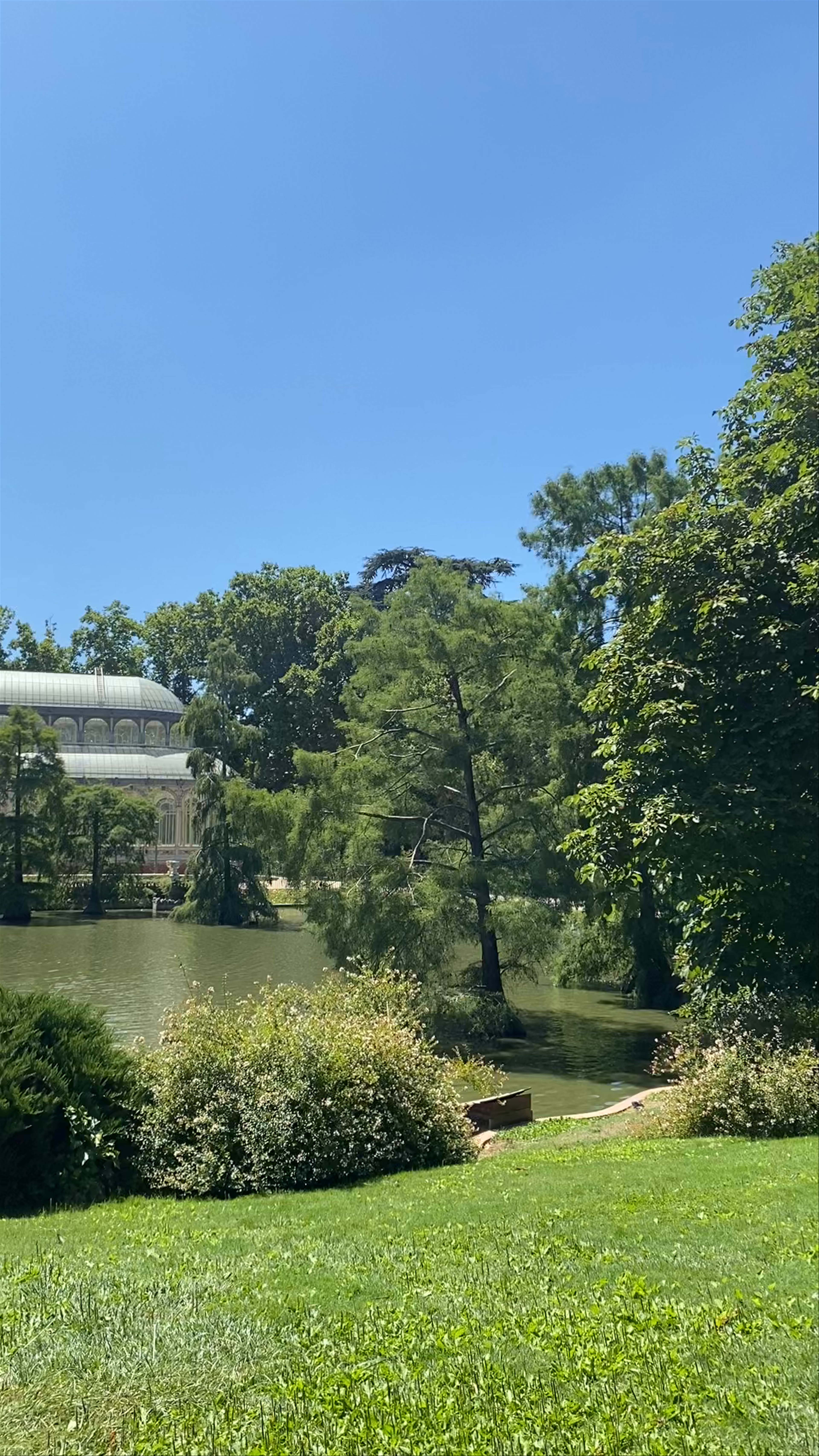 Palacio de Cristal: A Sunlit Oasis in Madrid's Retiro Park