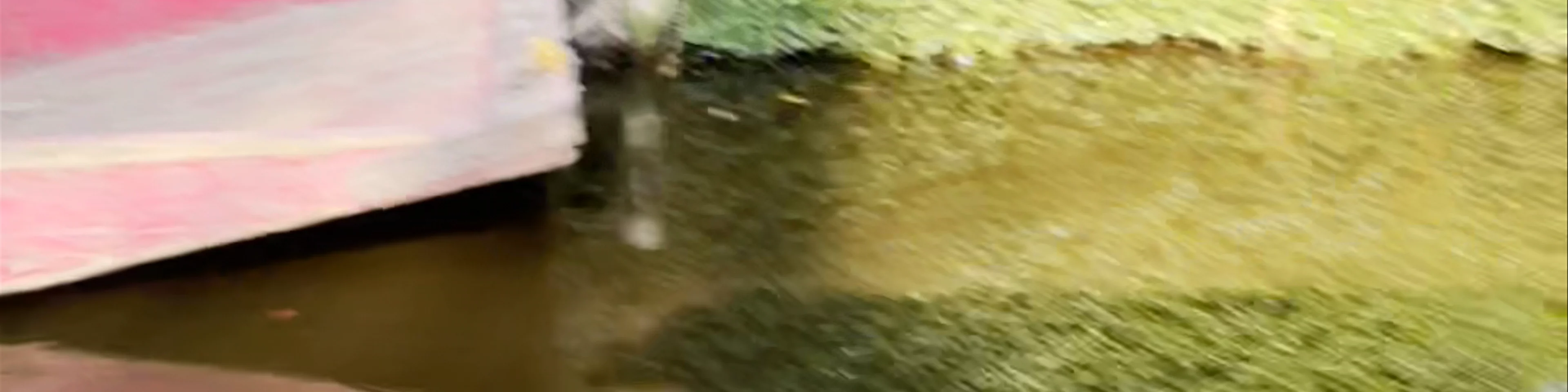 Xochimilco Embarcaderos