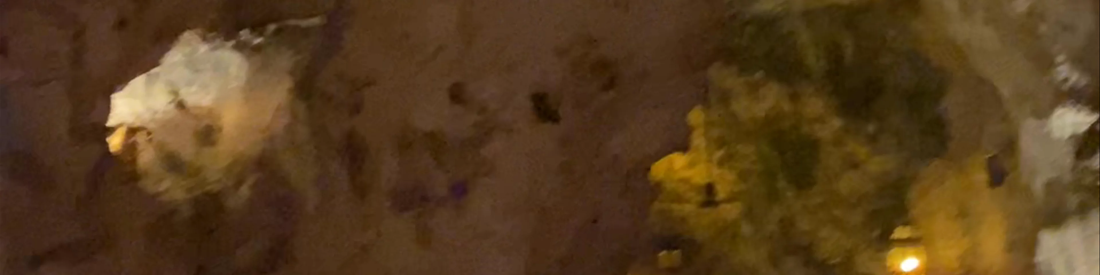 Ali Barbour's Cave Restaurant