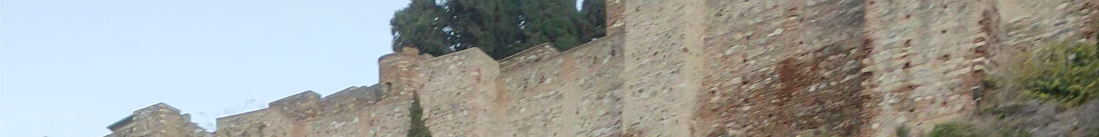 Tours & experiences in Málaga