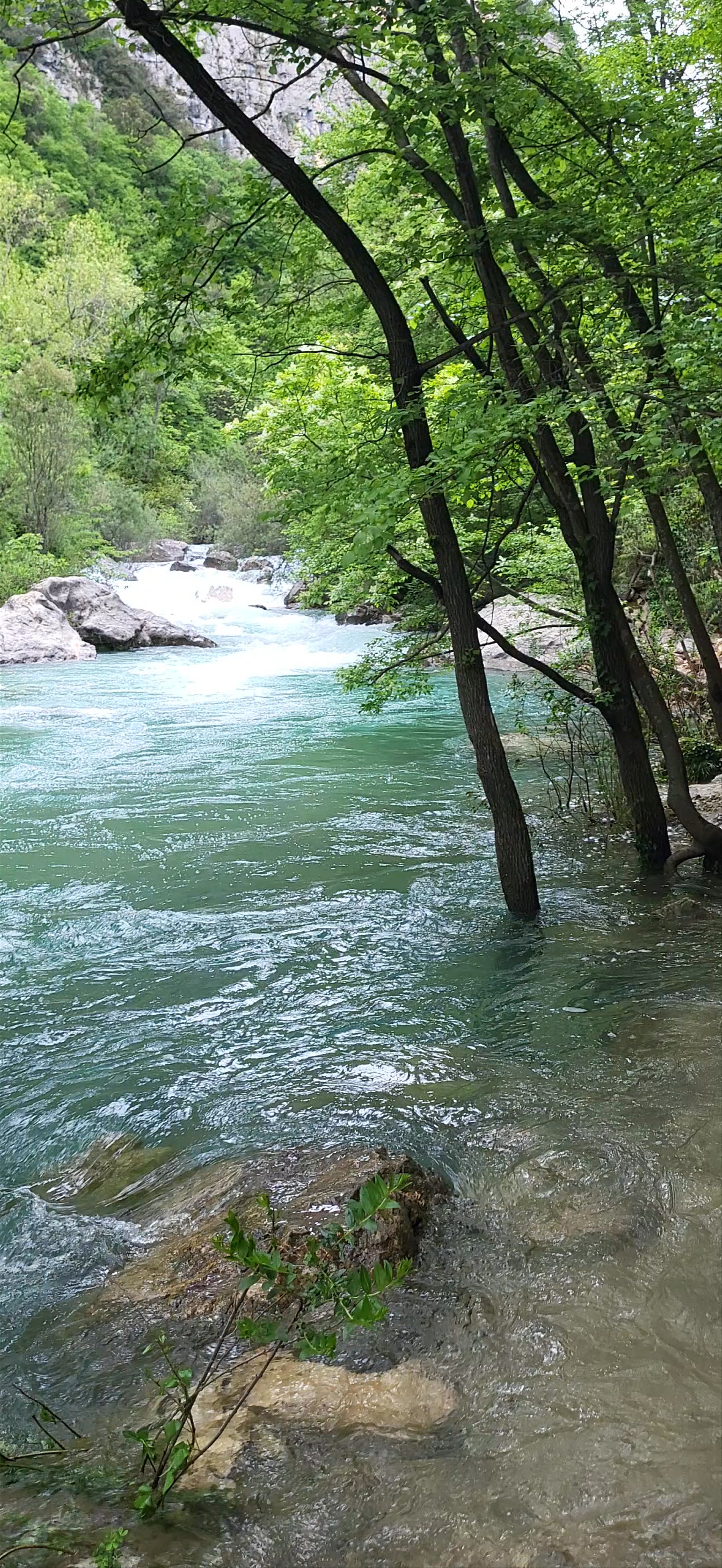 Enchanting Nature Escape at Les Gorges du Loup, Châteauneuf-Grasse