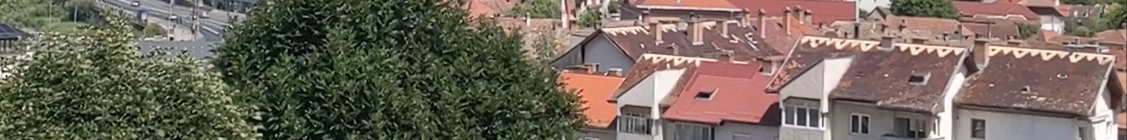 Tours & experiences in Sighișoara