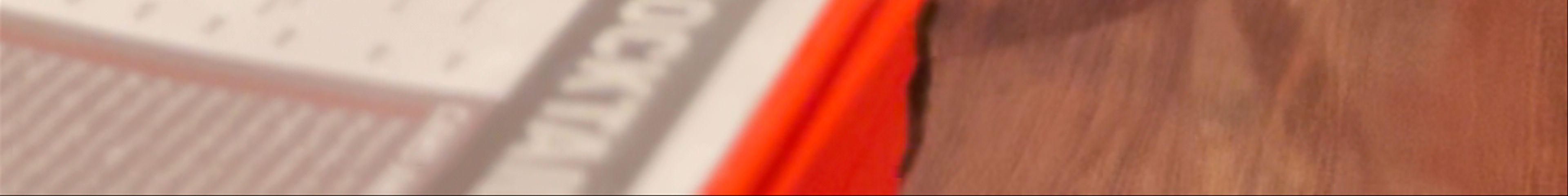 Tours & experiences in Oak Bluffs