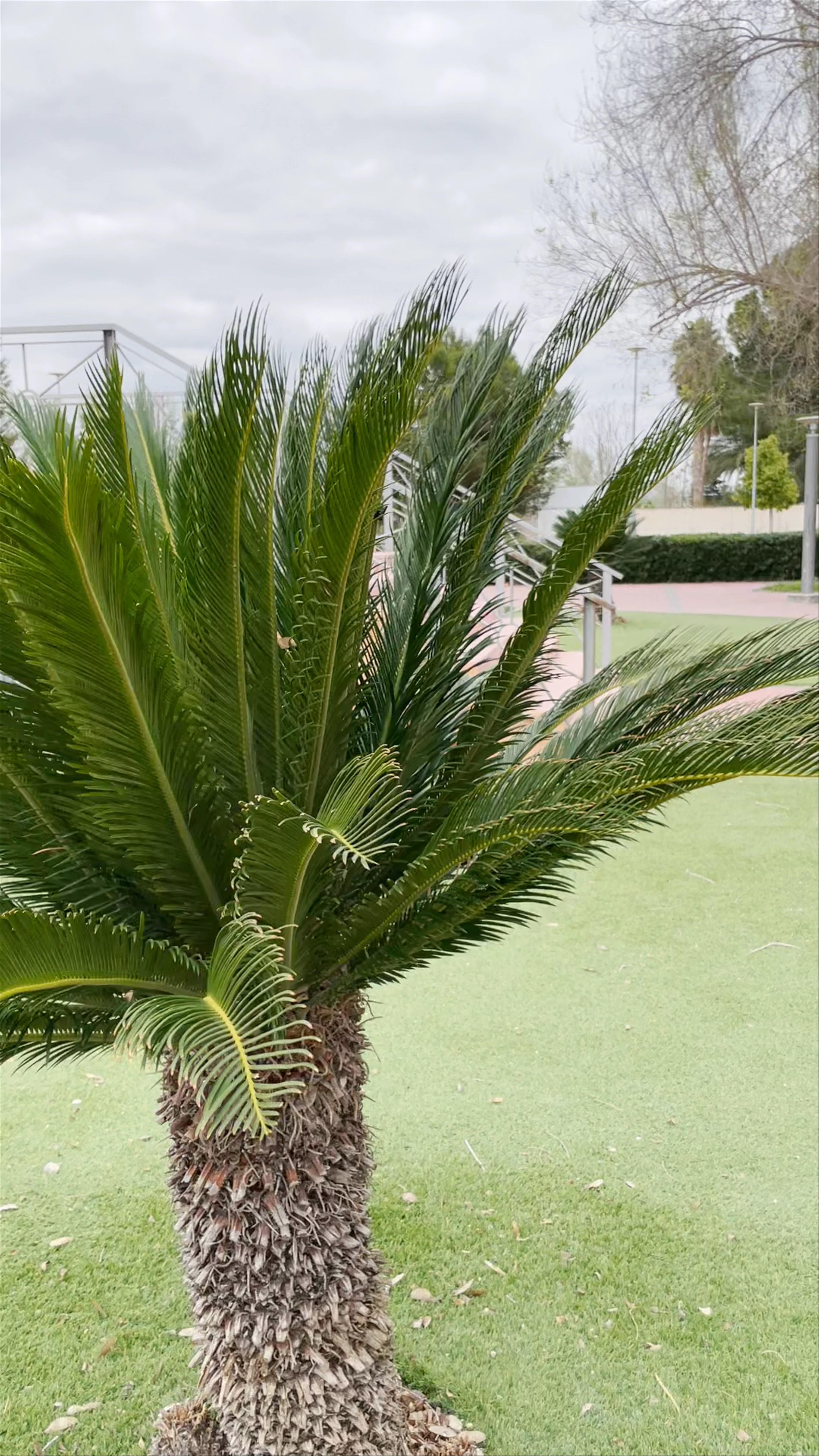 Parque de la Constitución