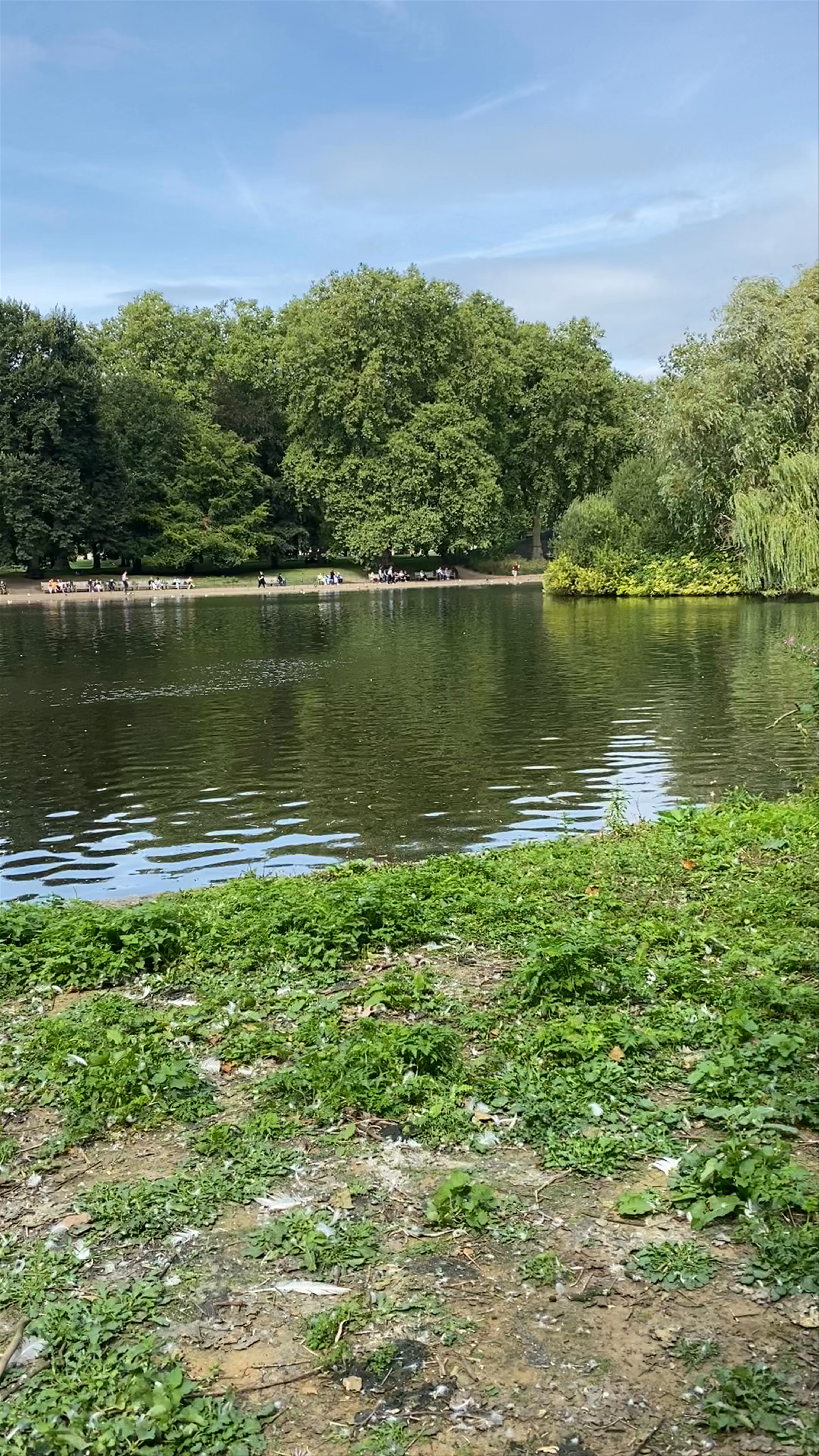 St James's Park: Serene Nature Escape in Central London