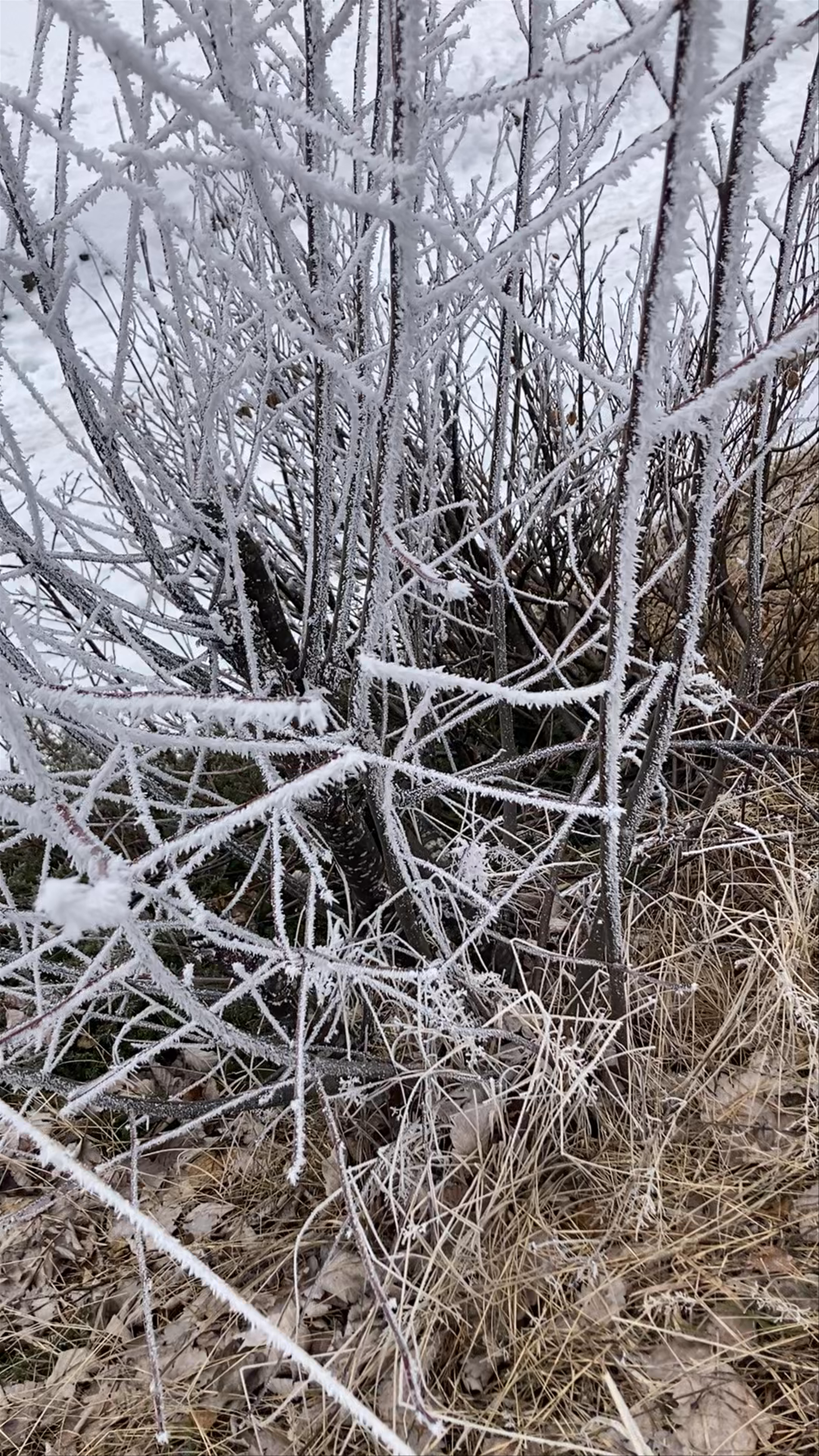 Col de la Colombière