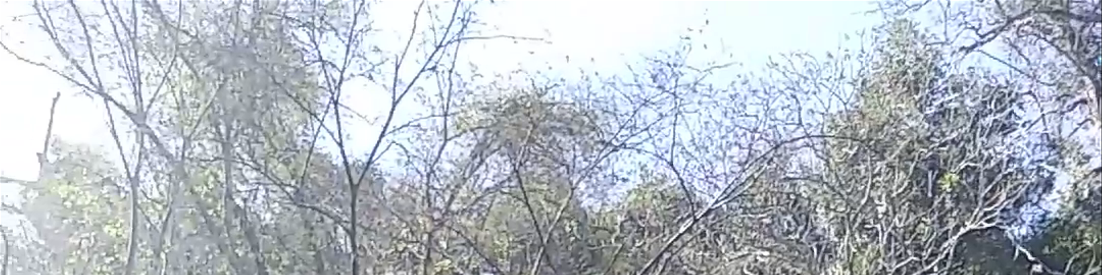 Paquera