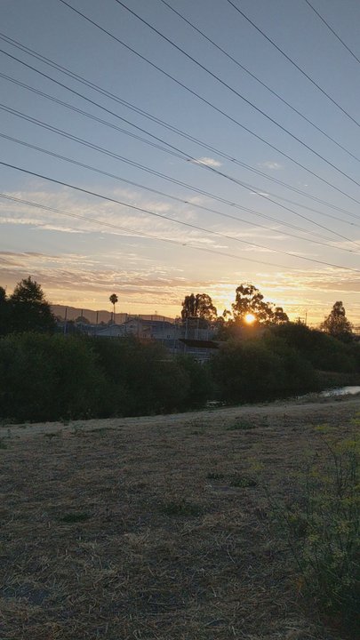 HarborView Park - Charming sunsets - Parks Near Me - San Mateo, California