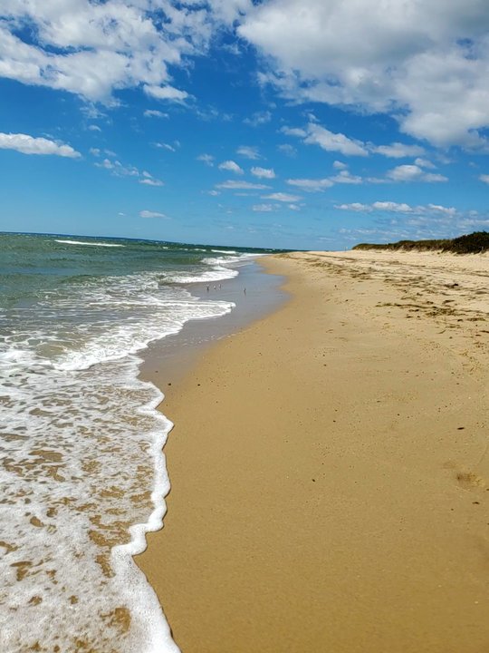 South Cape Beach - Beaches Near Me - Mashpee, Massachusetts