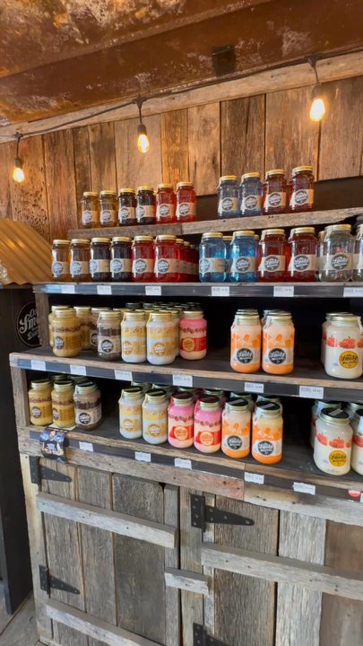 Mountain Liquors - Moonshine selection - Beer, Wine & Spirits Near Me - Kodak, Tennessee