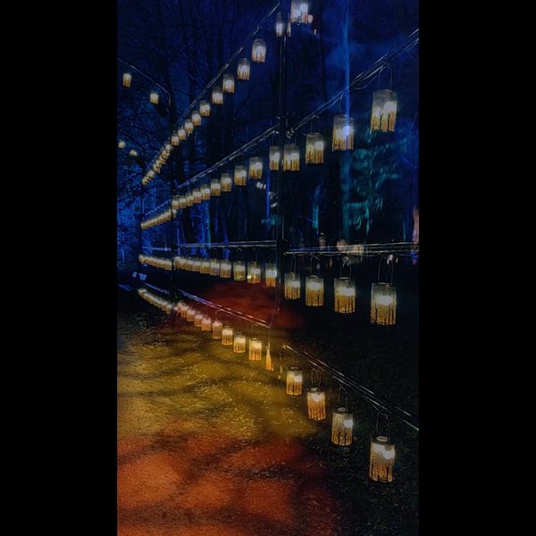 Photo of Harry Potter Forbidd