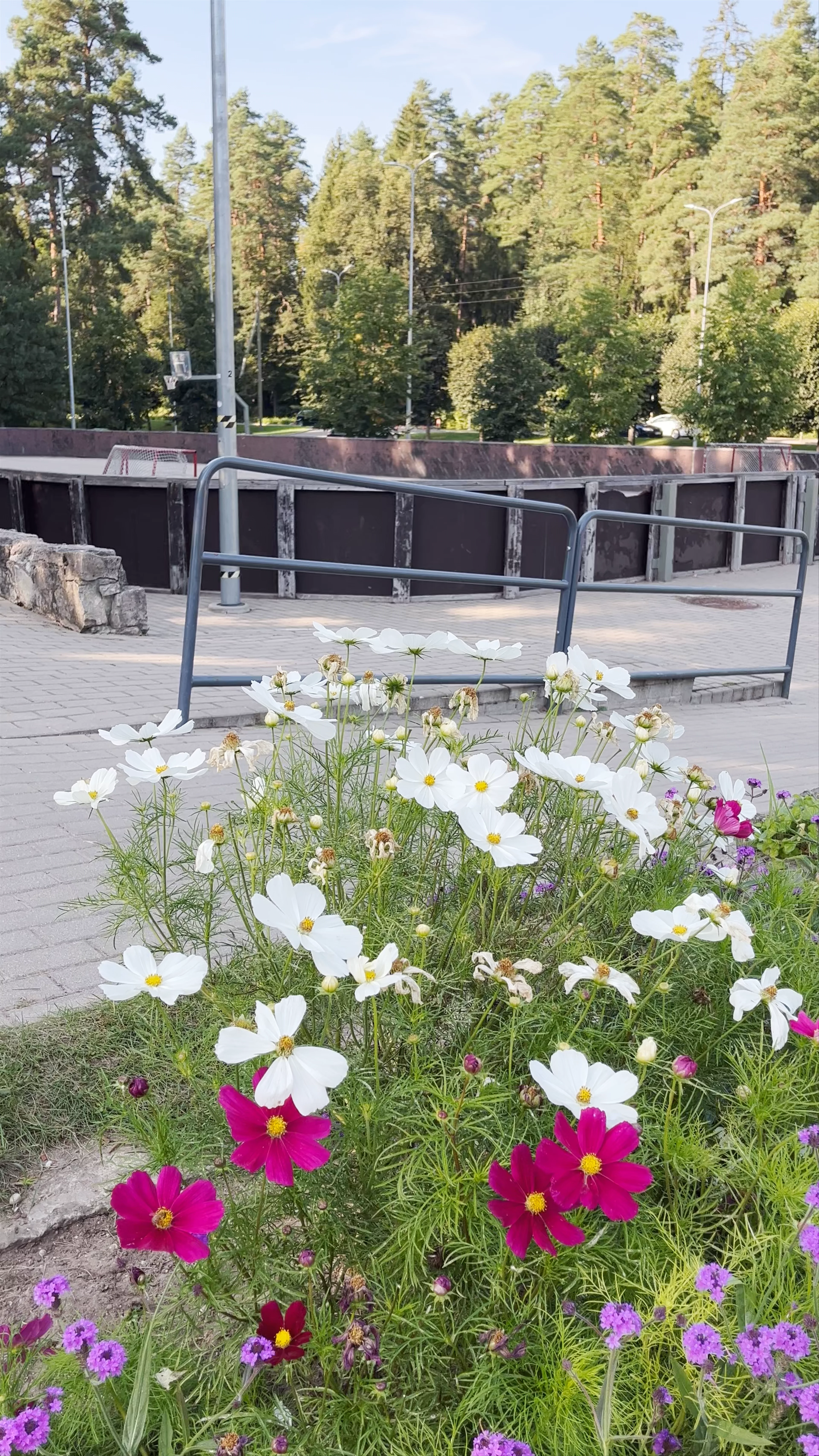 Krasta laukums