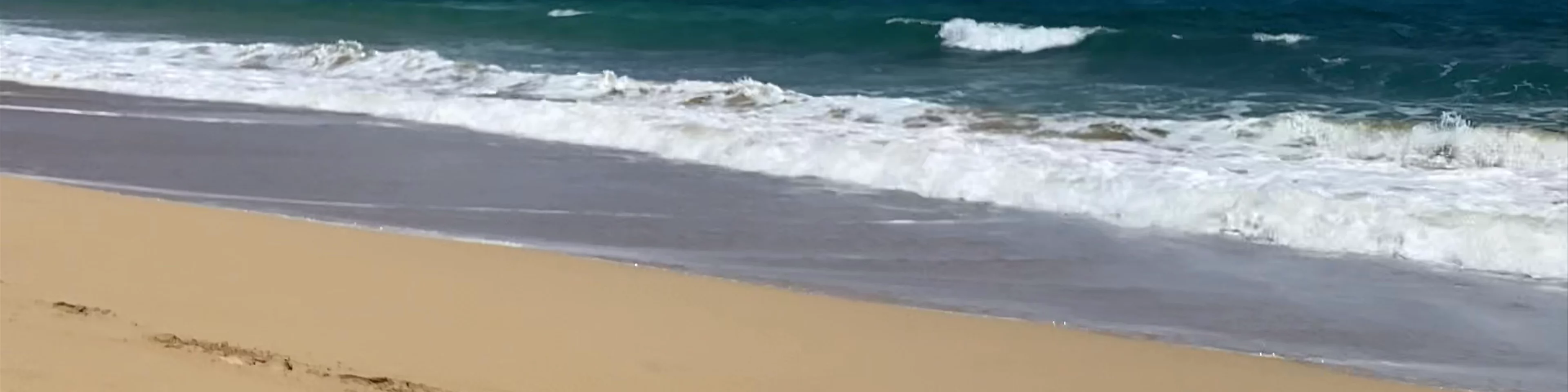 Pounder's Beach