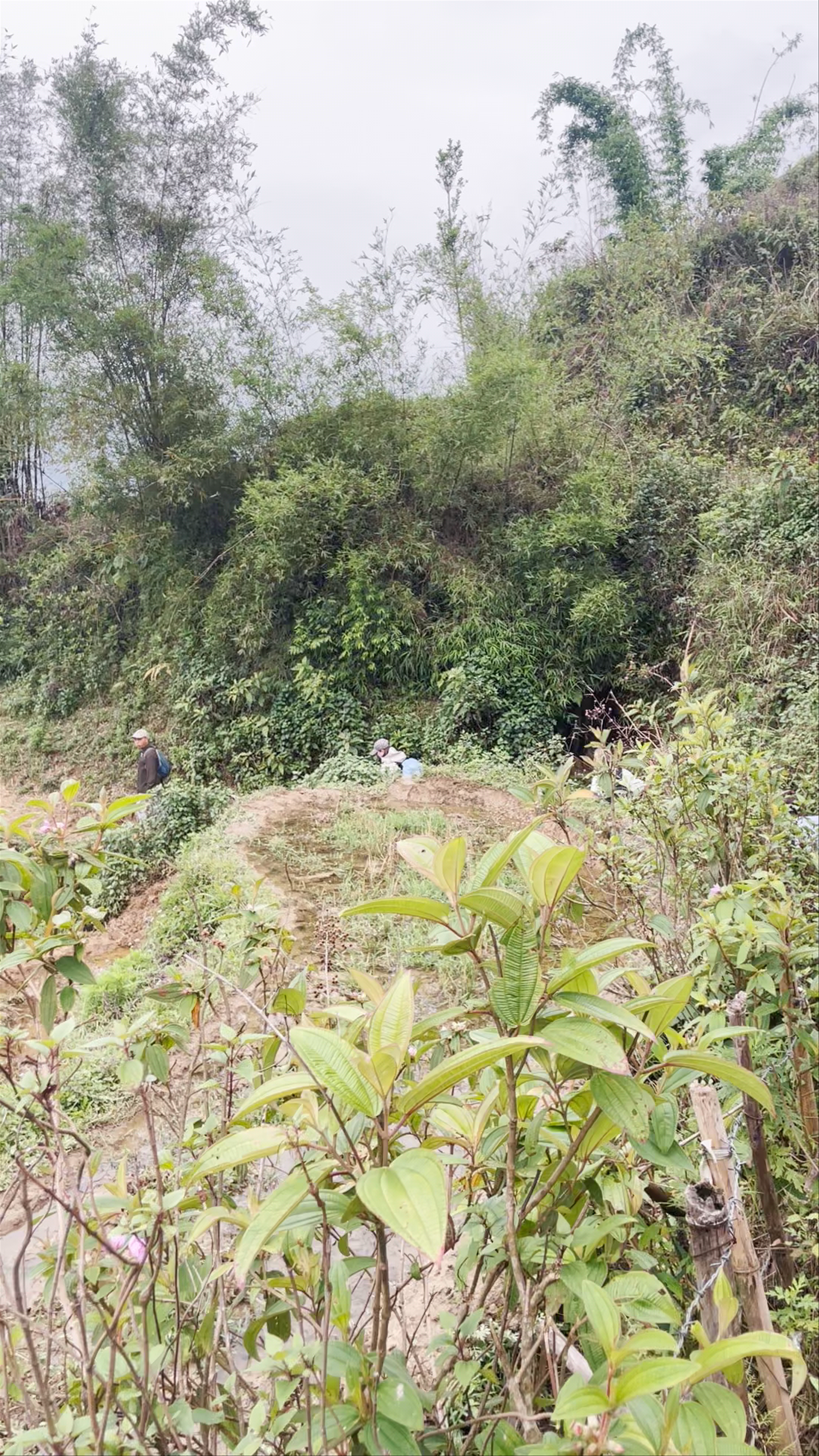 Thung lũng Mường Hoa