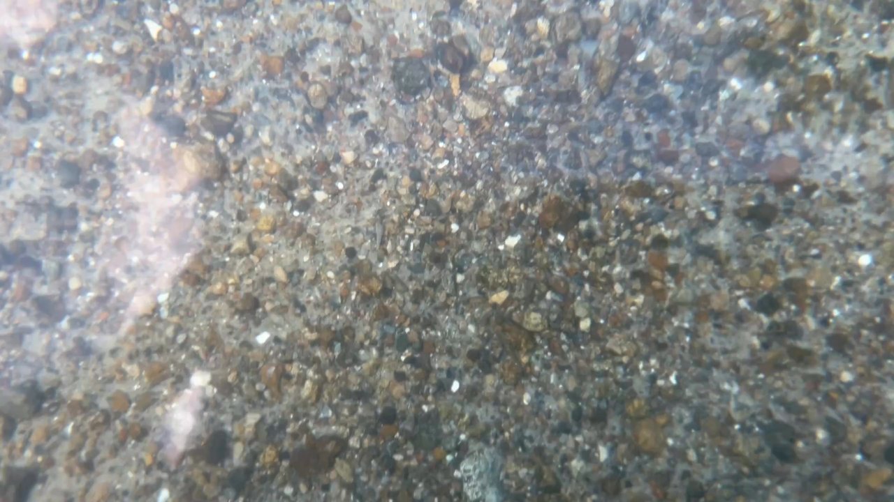 Kelly Park - Video of the spring water - Hiking Near Me - Apopka, Florida