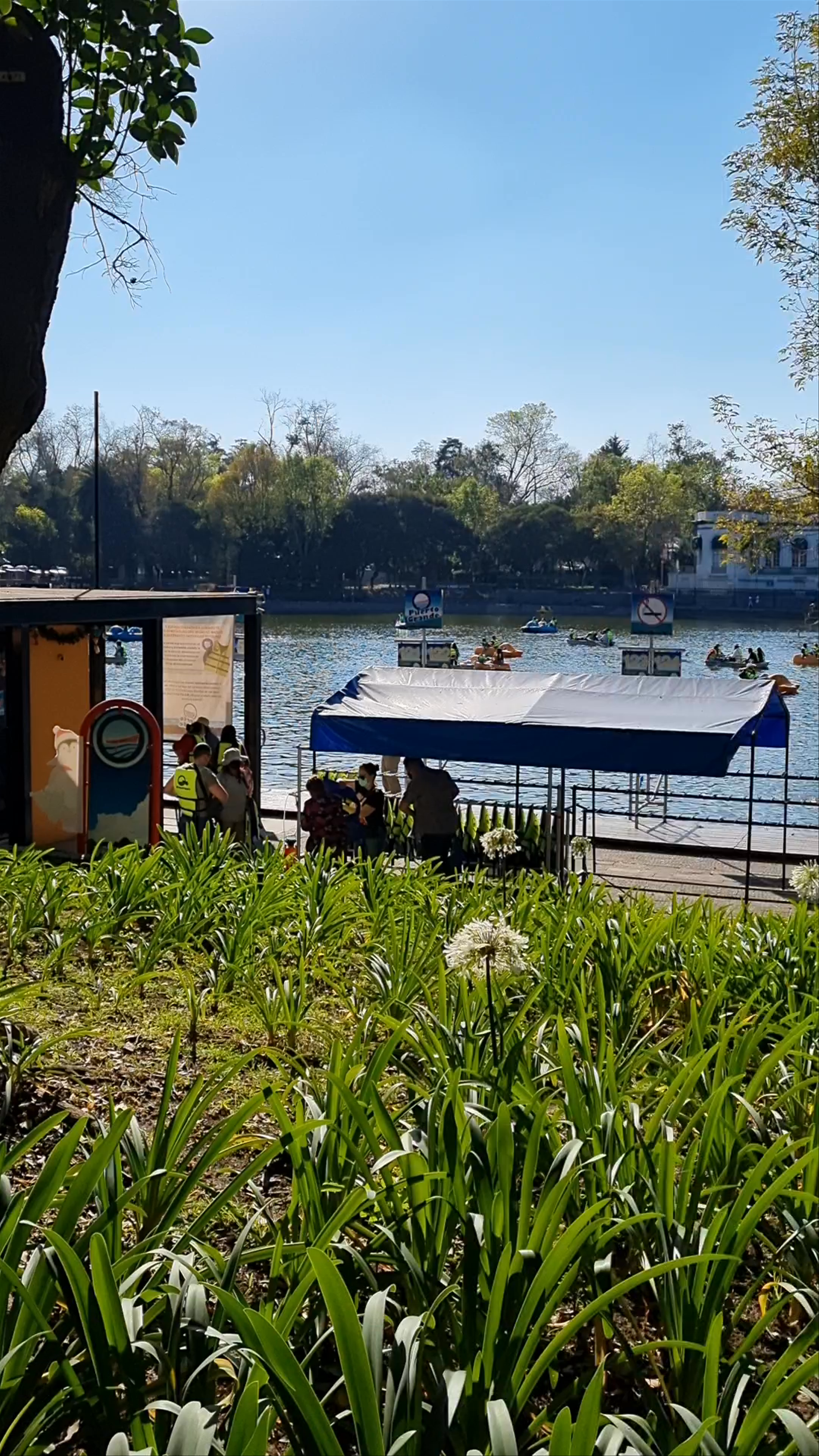Lago de Chapultepec: Serene Boating Escape in Mexico City