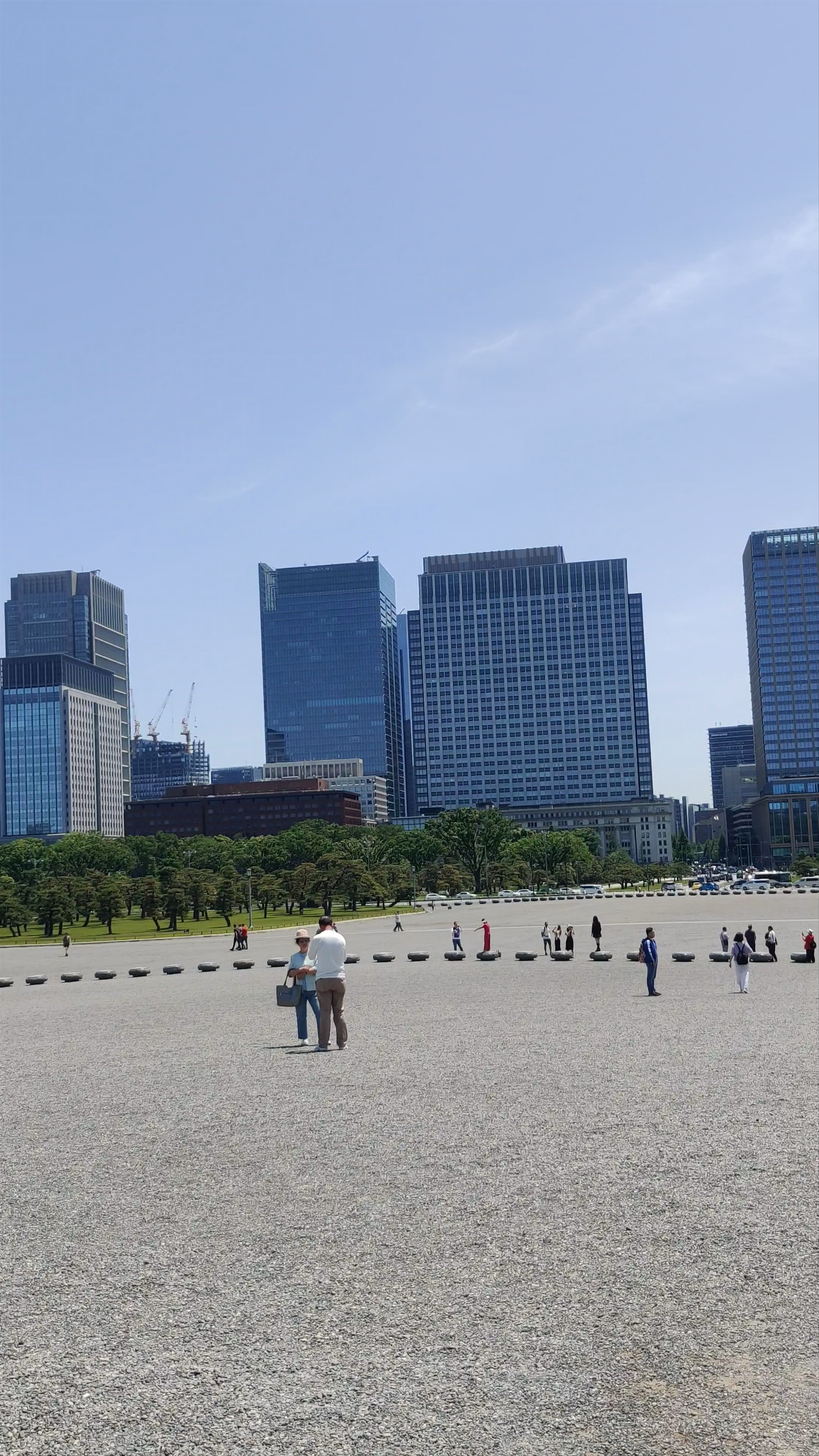 Imperial Palace Garden Views with Tokyo Skyline in the Background