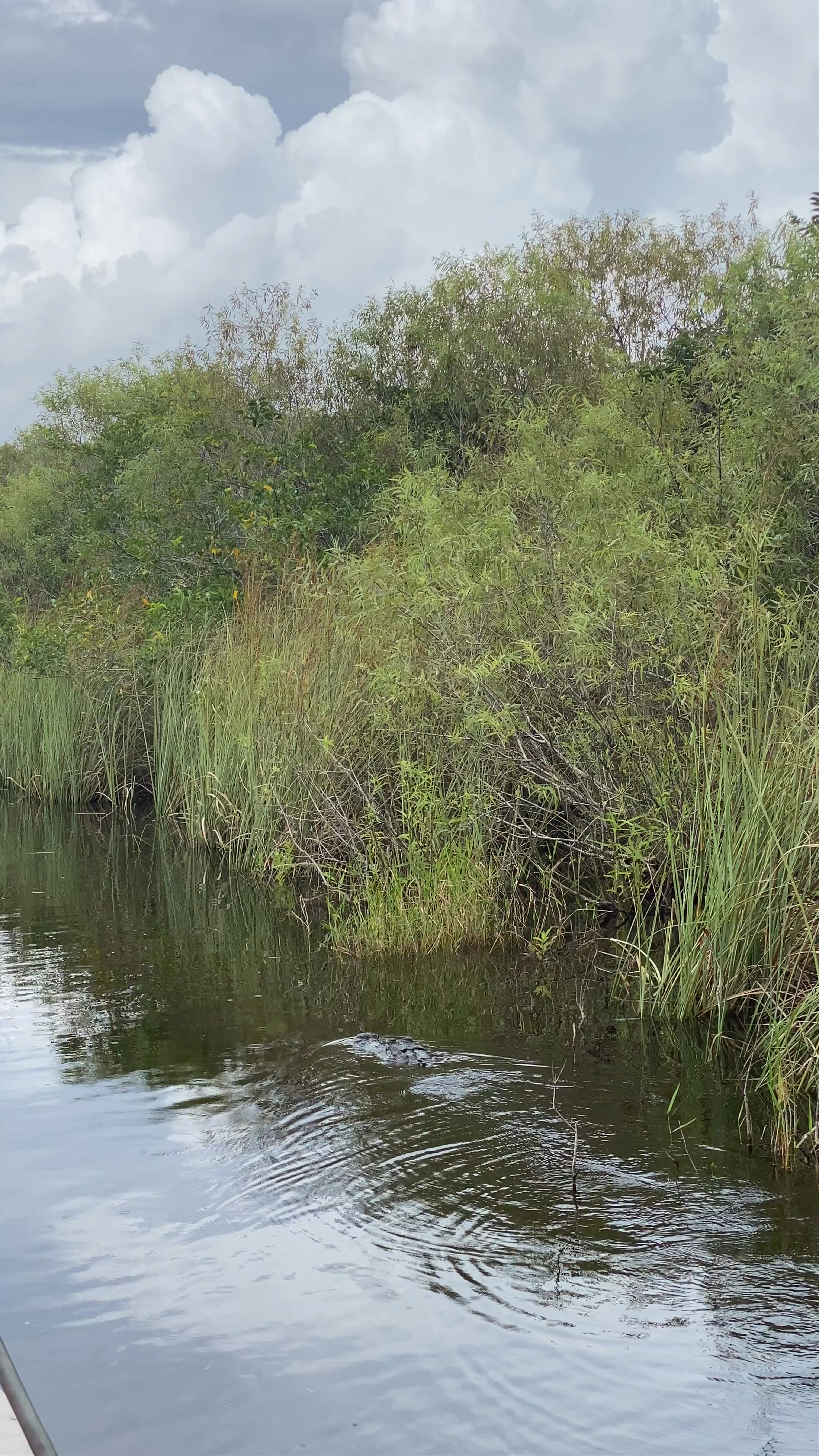 Coopertown The Original Airboat Tour of Everglades National Park