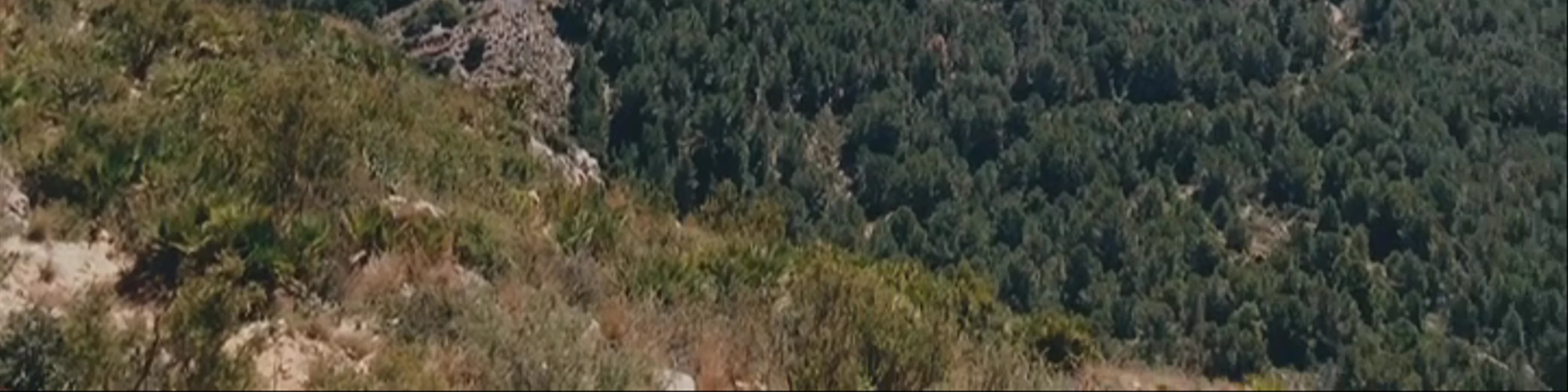 Parc Natural del Montgó