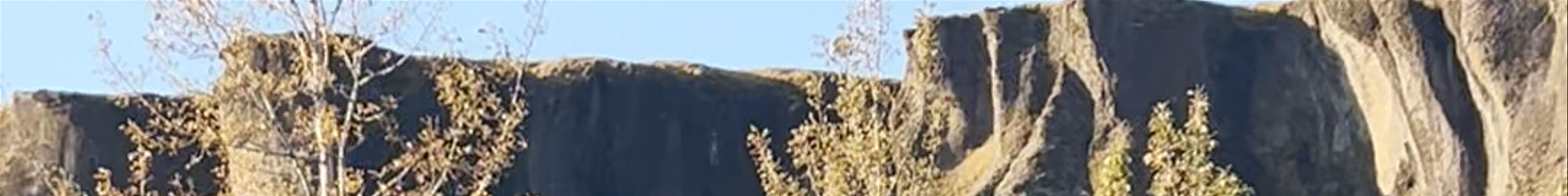 Tours & experiences in Vík í Mýrdal