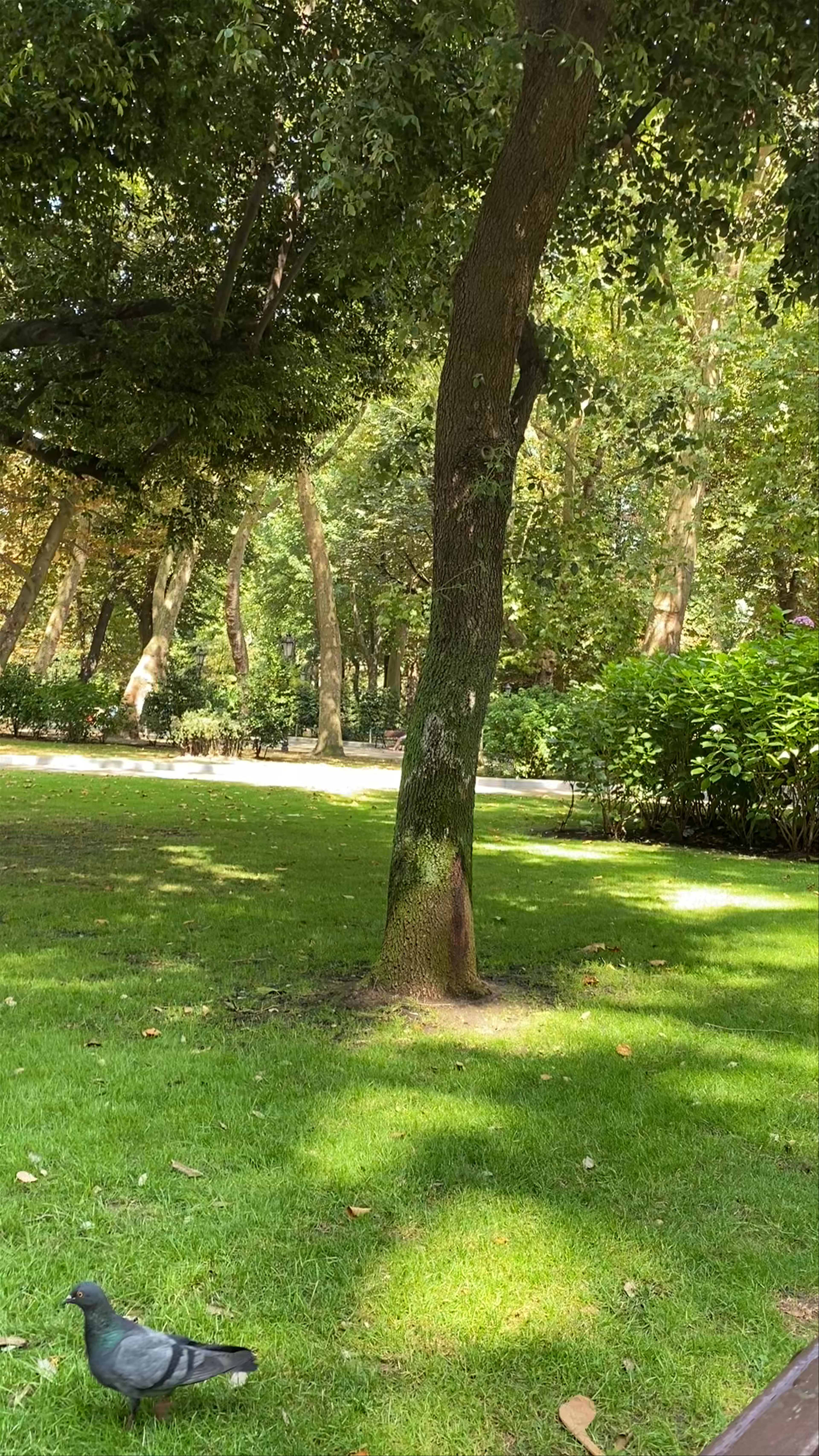 Campo San Francisco: Serene Urban Oasis in Oviedo, Spain